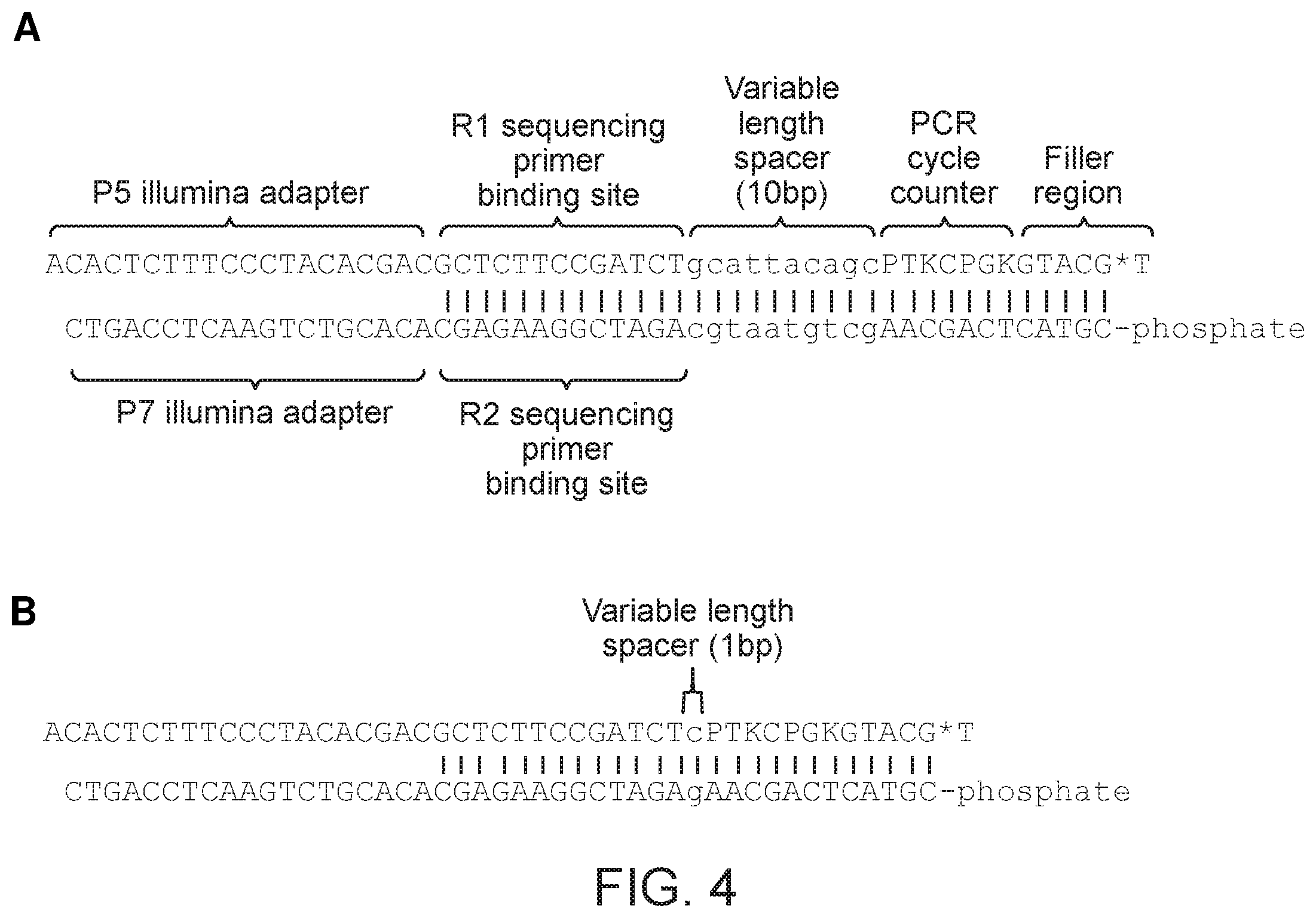 Patent US12365940 Figure 3 – Methods of labelling nucleic acids using variable length oligonucleotides