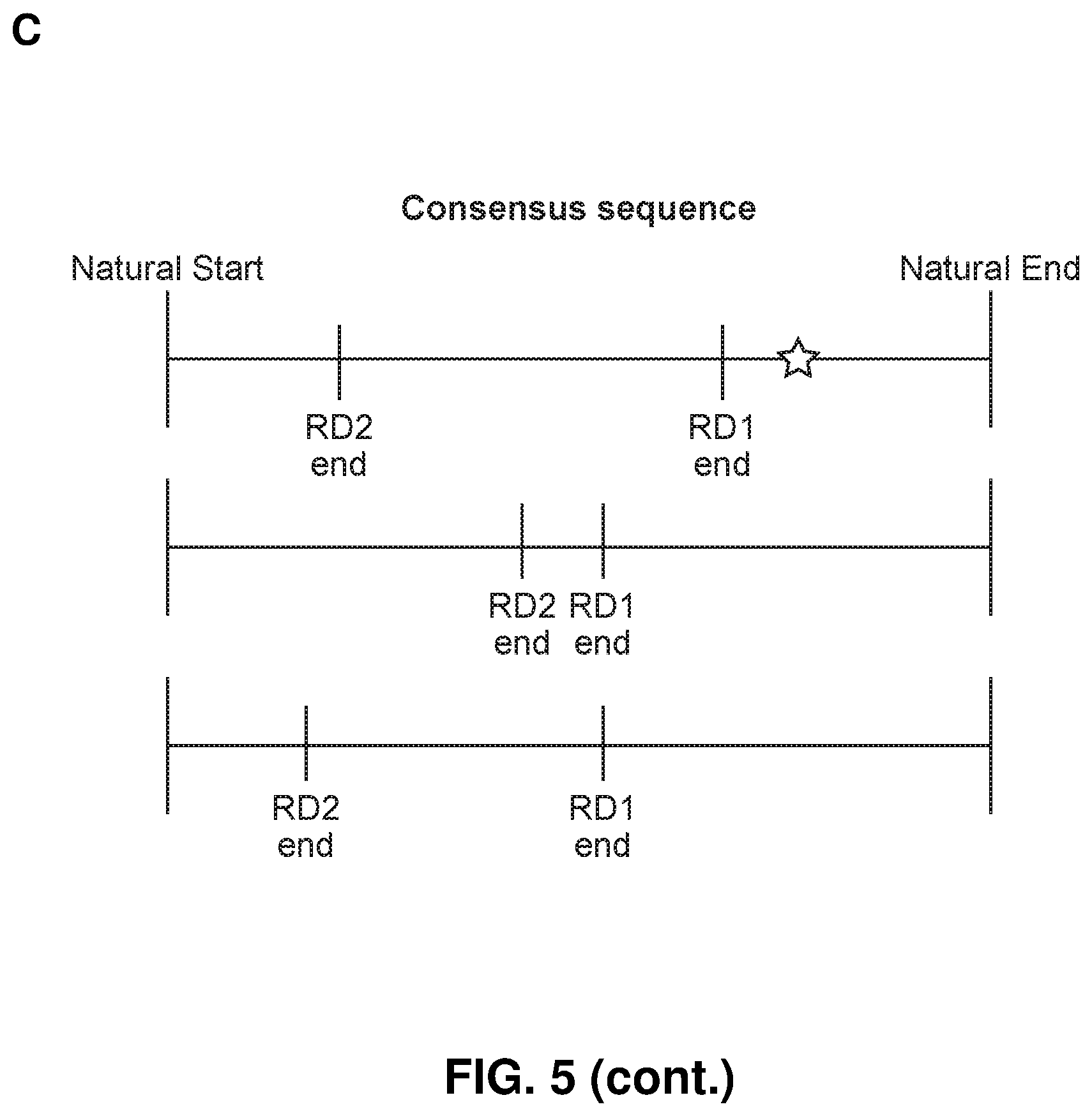 Patent US12365940 Figure 5 – Methods of labelling nucleic acids using variable length oligonucleotides