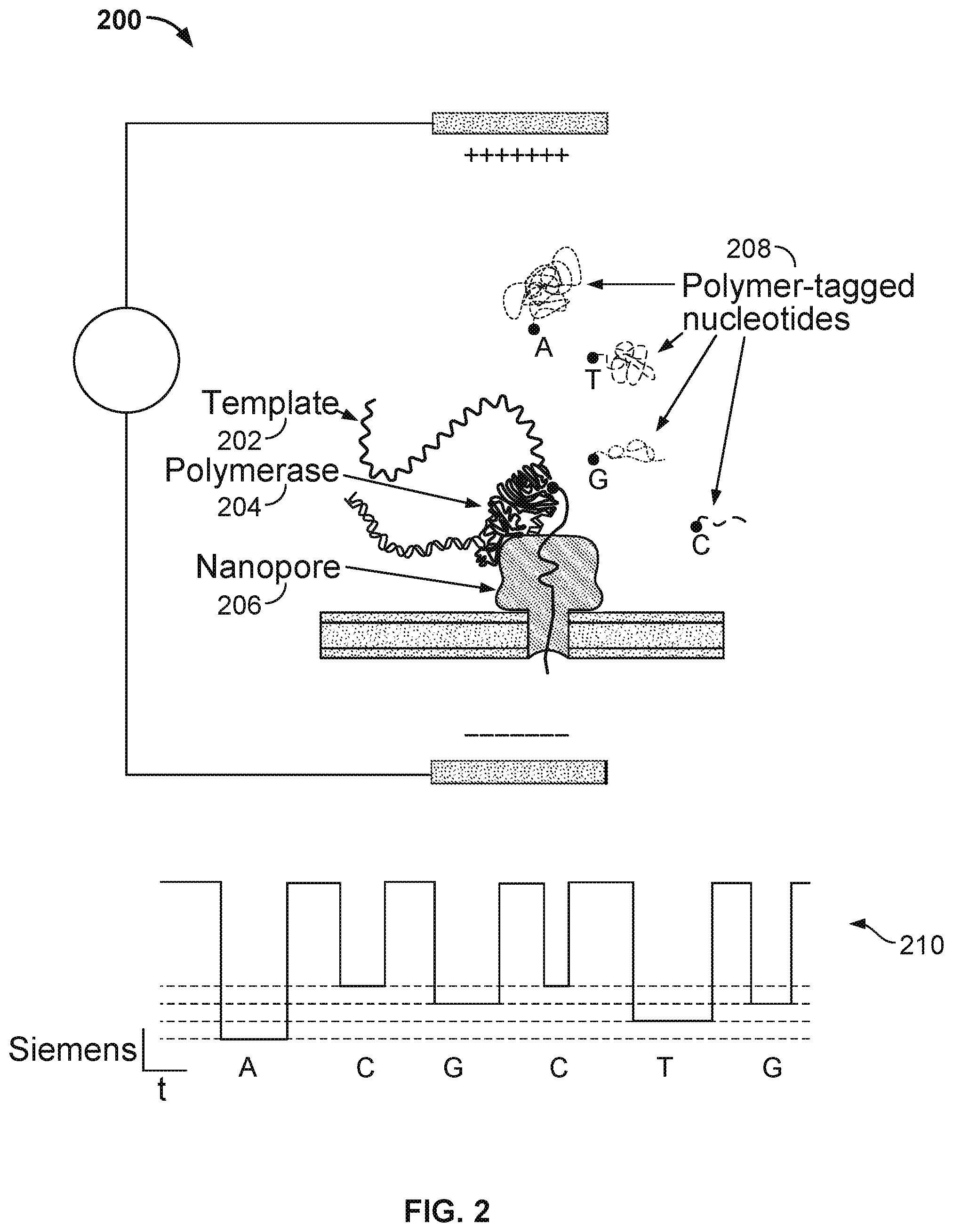 Patent US12365941 Figure 2 – Non-destructive bilayer monitoring using measurement of bilayer response to electrical stimulus