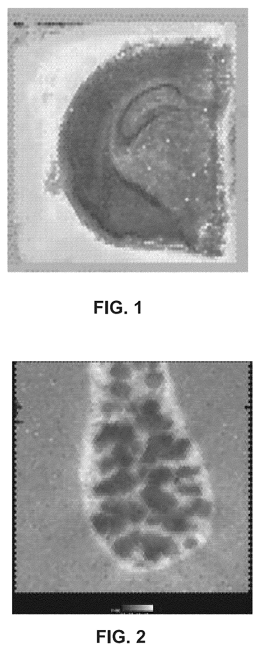 Patent US12365942 — Methods of decreasing background on a spatial array — Figure 1