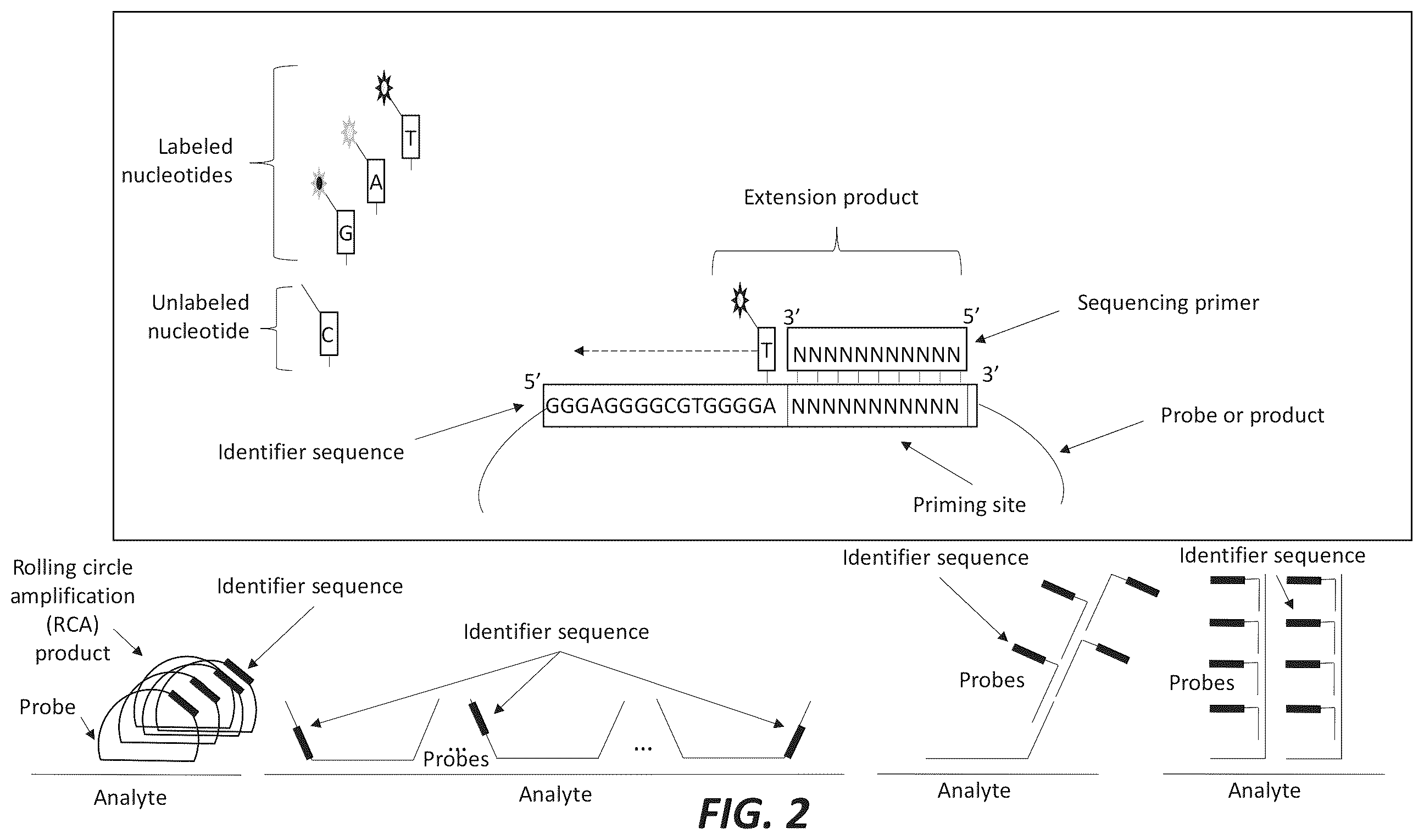 Patent US12365944 Figure 2 – Compositions and methods for amplification and sequencing
