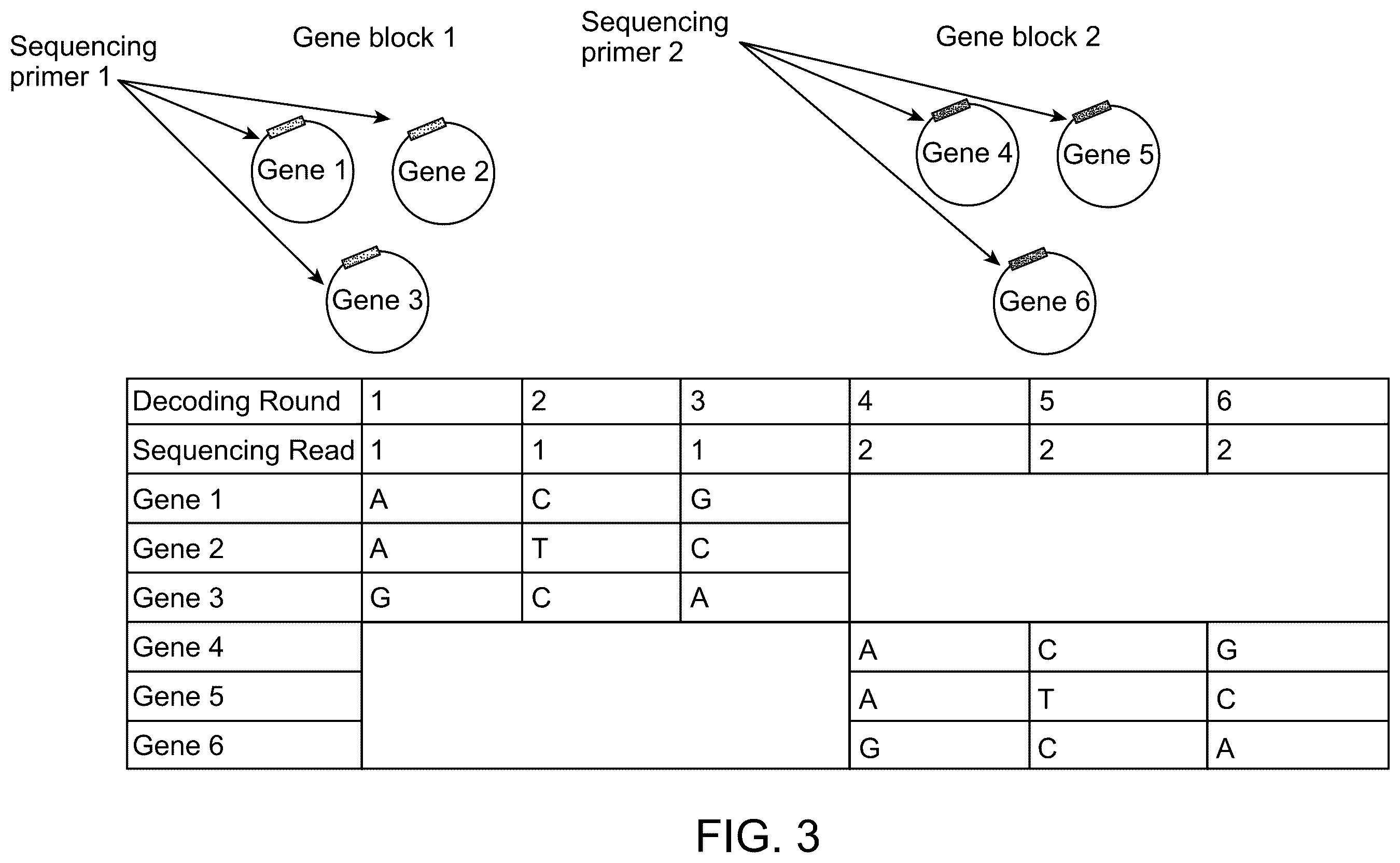 Patent US12365944 Figure 3 – Compositions and methods for amplification and sequencing