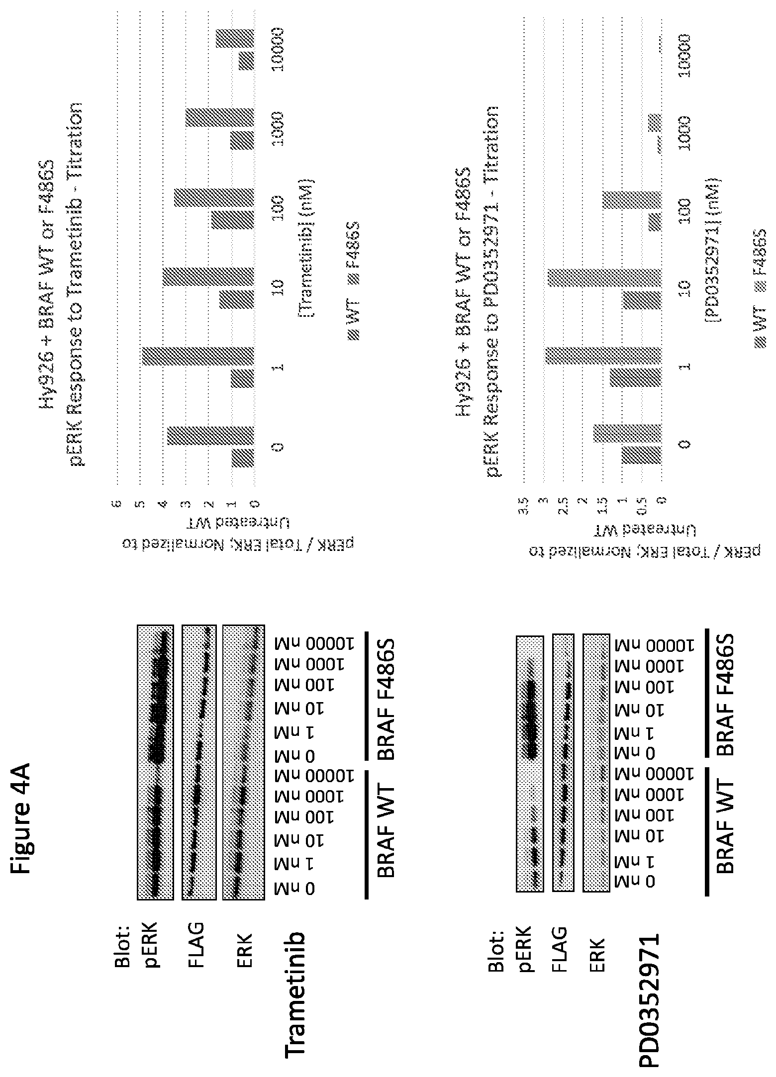 Patent US12365946 Figure 4 – Compositions and methods for the diagnosis and treatment of lymphatic system disorders