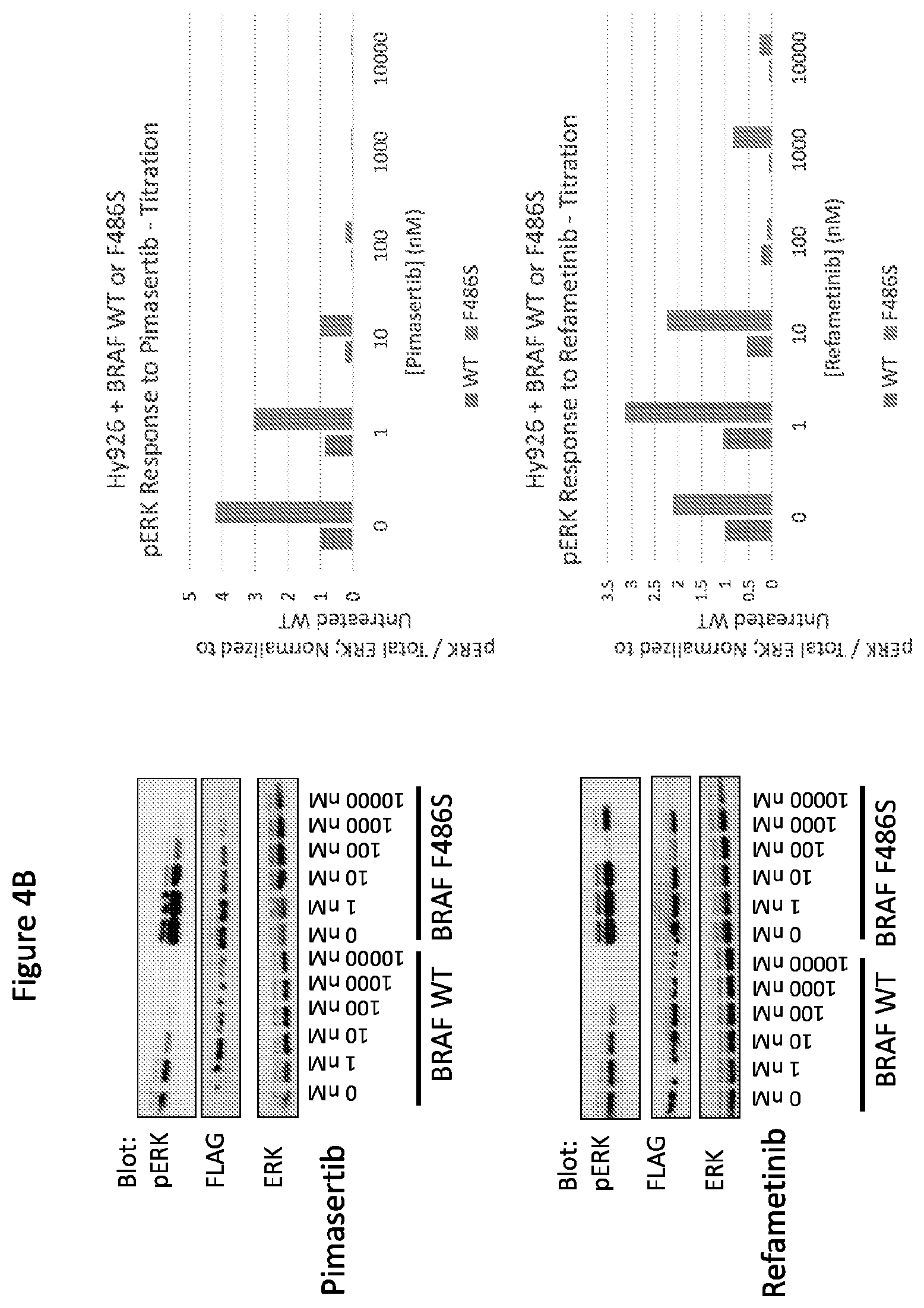 Patent US12365946 Figure 5 – Compositions and methods for the diagnosis and treatment of lymphatic system disorders