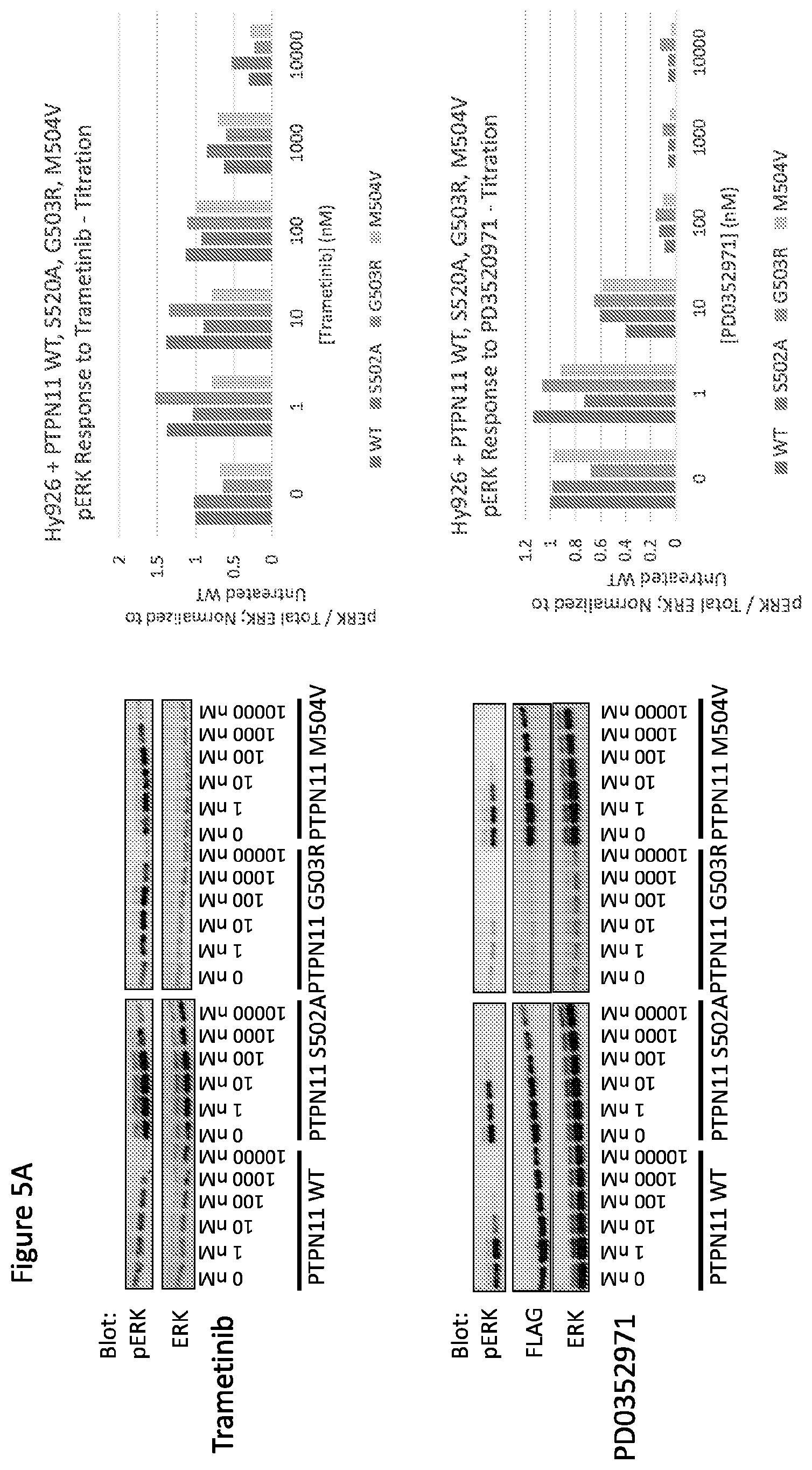 Patent US12365946 Figure 6 – Compositions and methods for the diagnosis and treatment of lymphatic system disorders