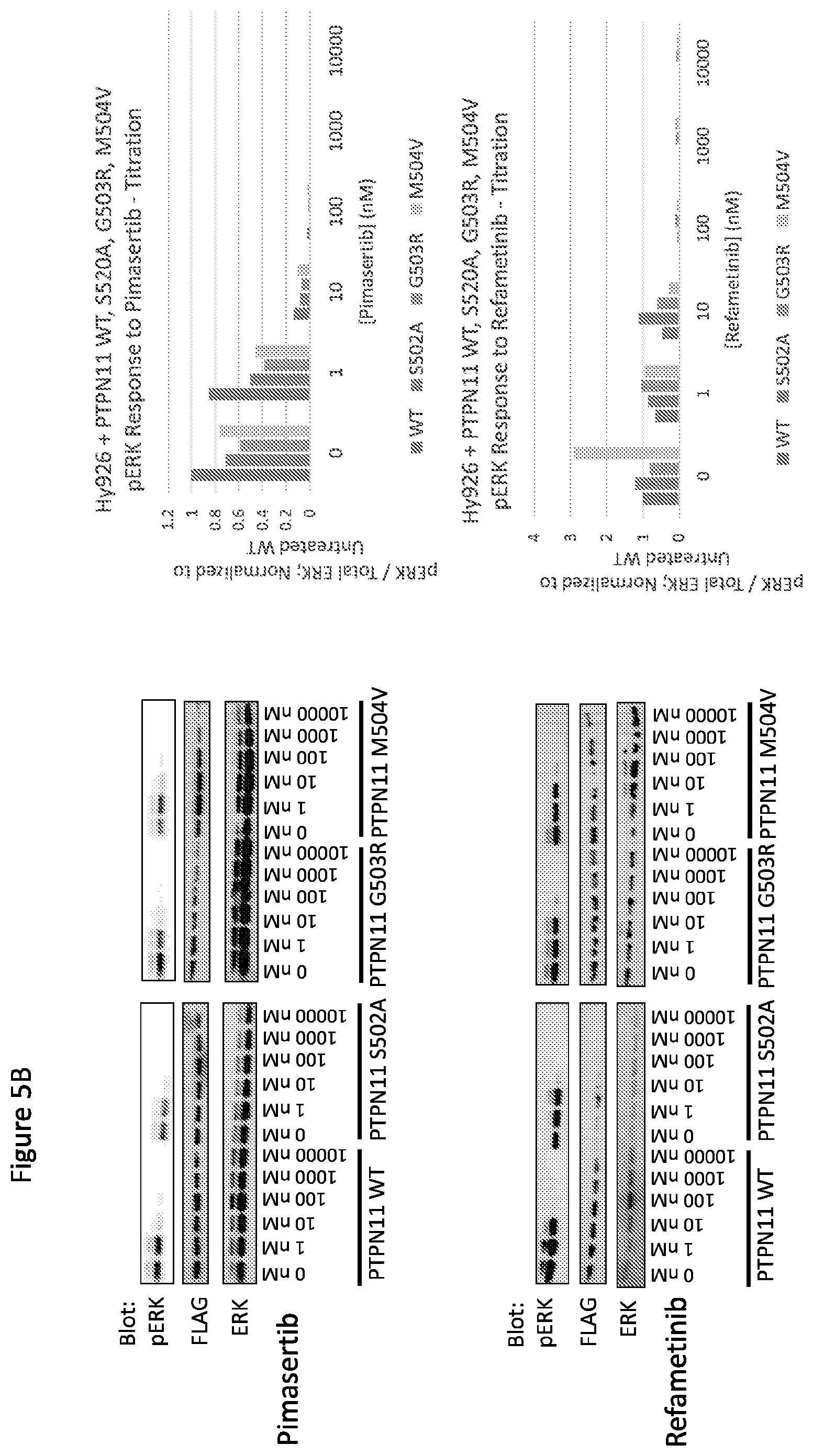 Patent US12365946 Figure 7 – Compositions and methods for the diagnosis and treatment of lymphatic system disorders