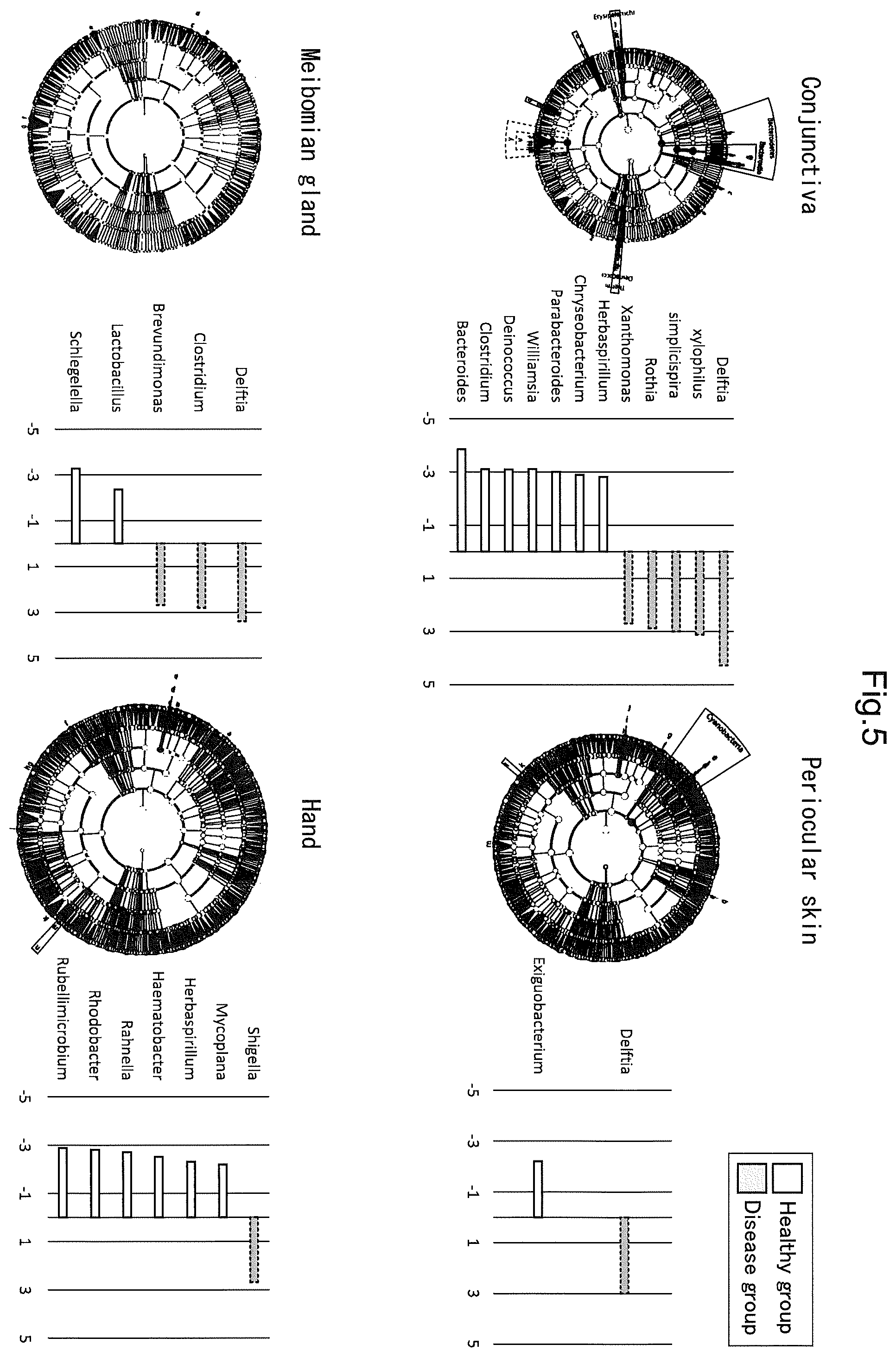 Patent US12365950 Figure 6 – Method of detecting conjunctival disease using ocular surface tissue, and aging biomarker
