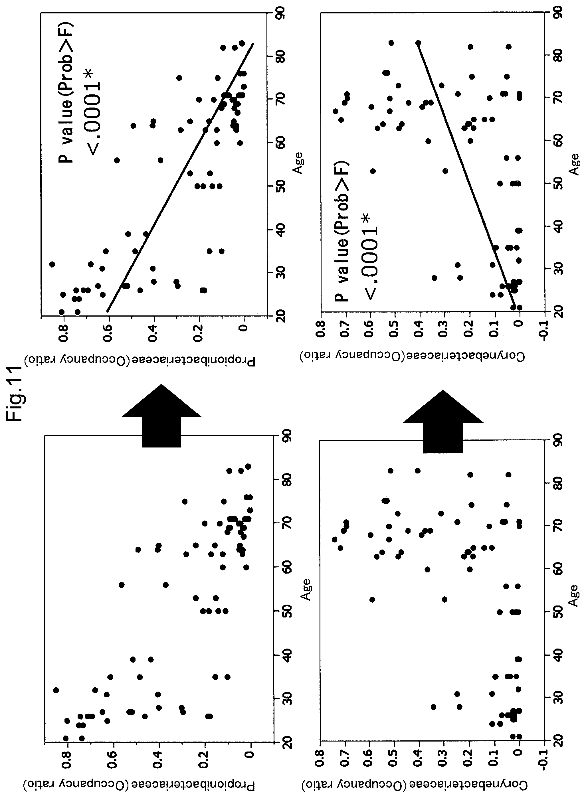 Patent US12365950 Figure 11 – Method of detecting conjunctival disease using ocular surface tissue, and aging biomarker