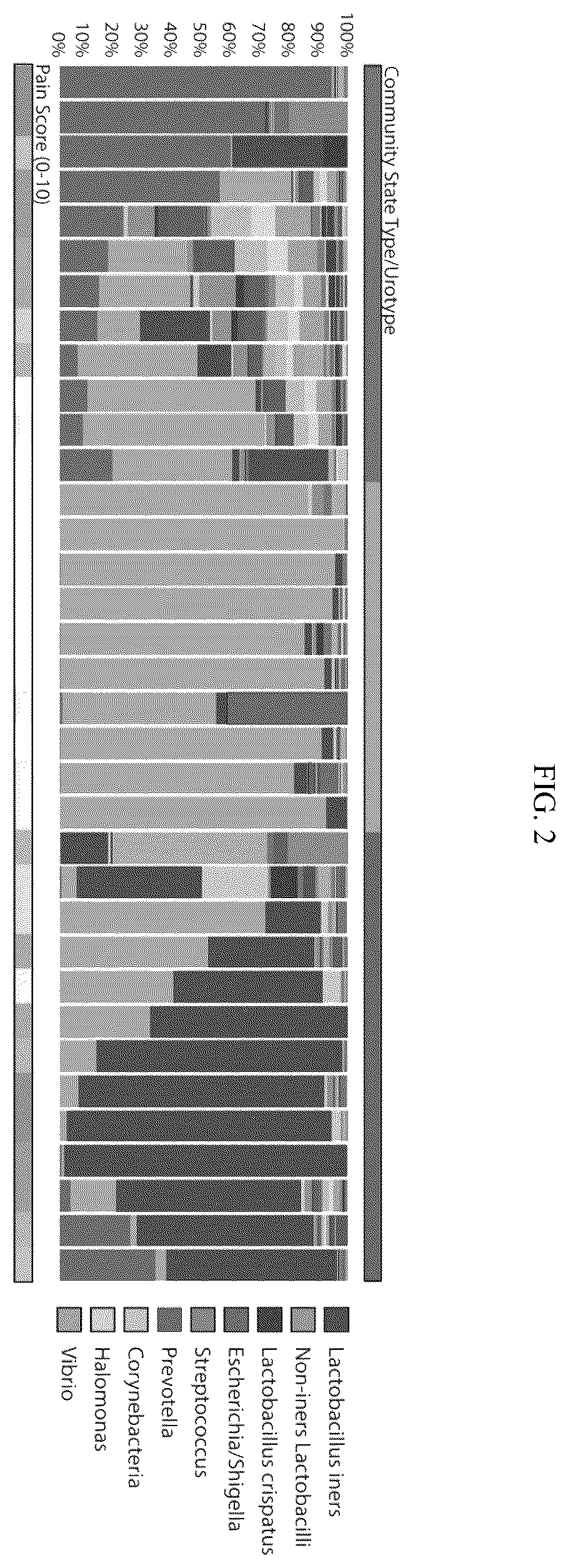 Patent US12365951 Figure 2 – Diagnostic testing using microbial biomarkers to classify pelvic and bladder pain
