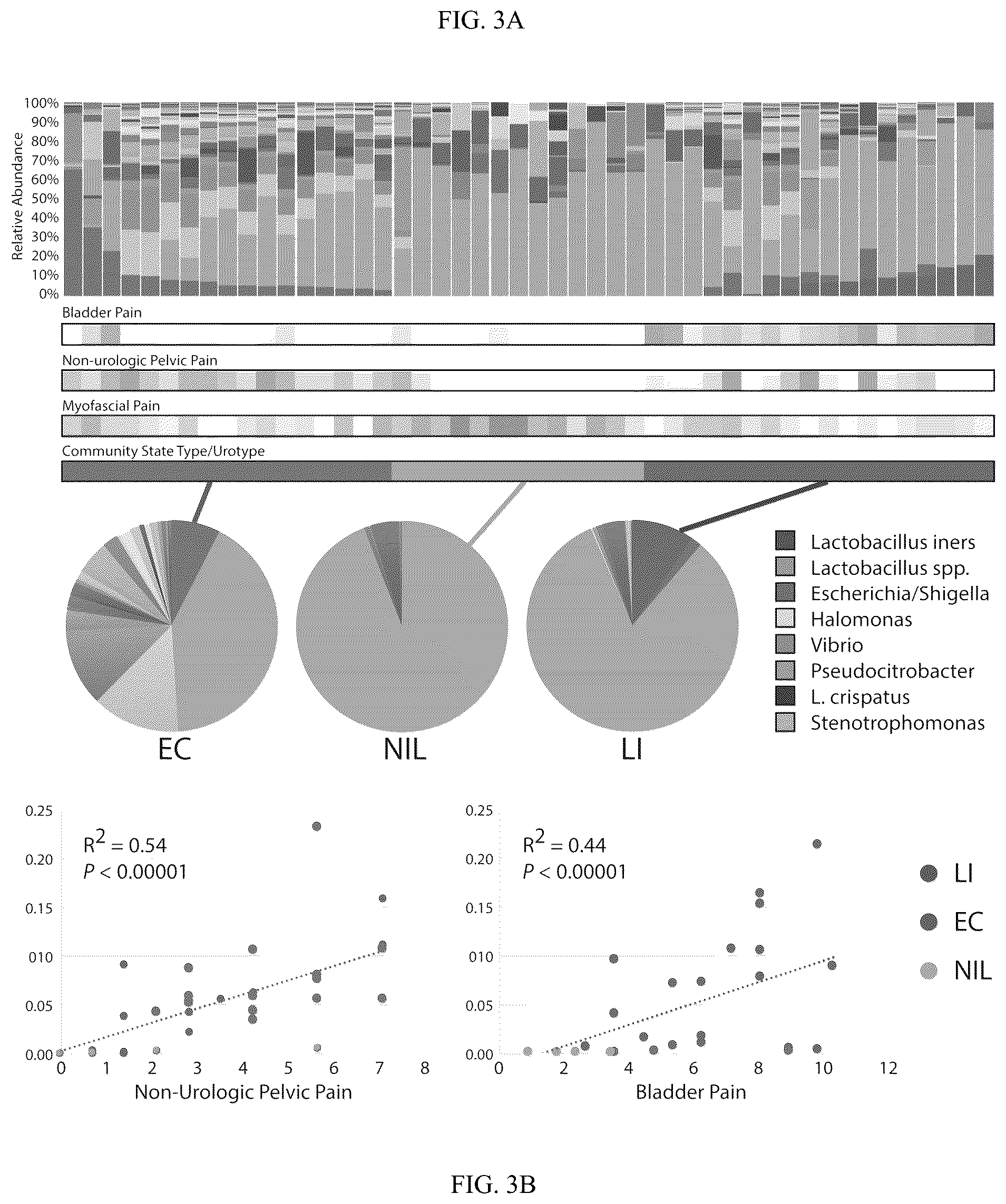Patent US12365951 Figure 3 – Diagnostic testing using microbial biomarkers to classify pelvic and bladder pain