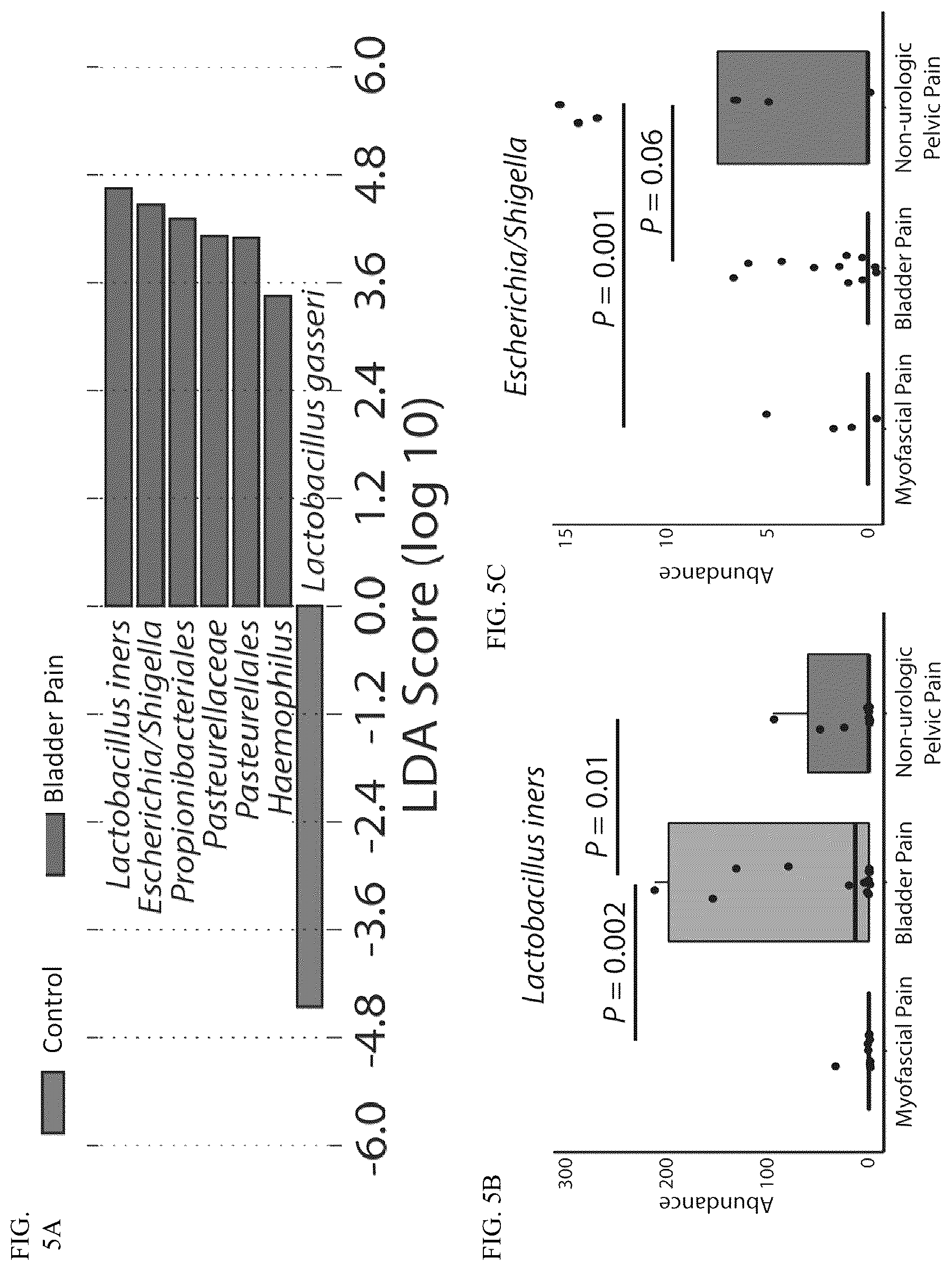 Patent US12365951 Figure 5 – Diagnostic testing using microbial biomarkers to classify pelvic and bladder pain