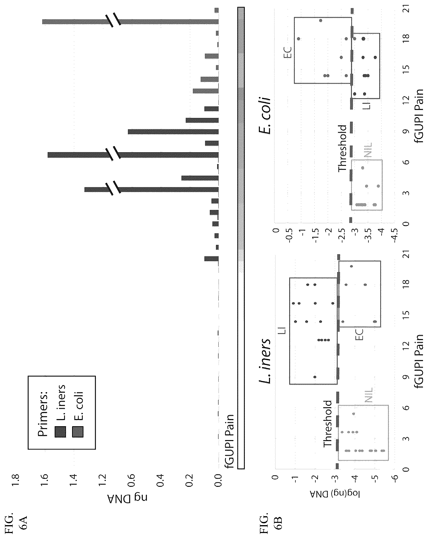 Patent US12365951 Figure 6 – Diagnostic testing using microbial biomarkers to classify pelvic and bladder pain