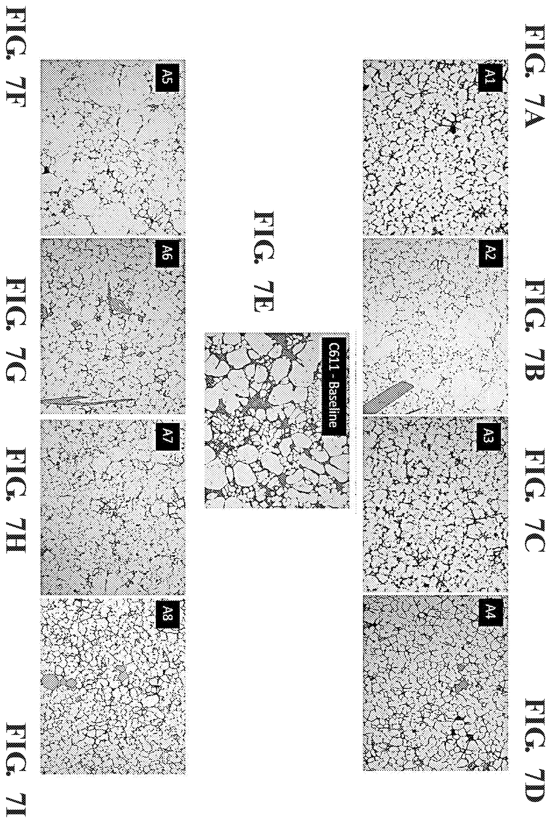Patent US12365966 Figure 9 – Non-heat-treated casting alloys for automotive structural applications
