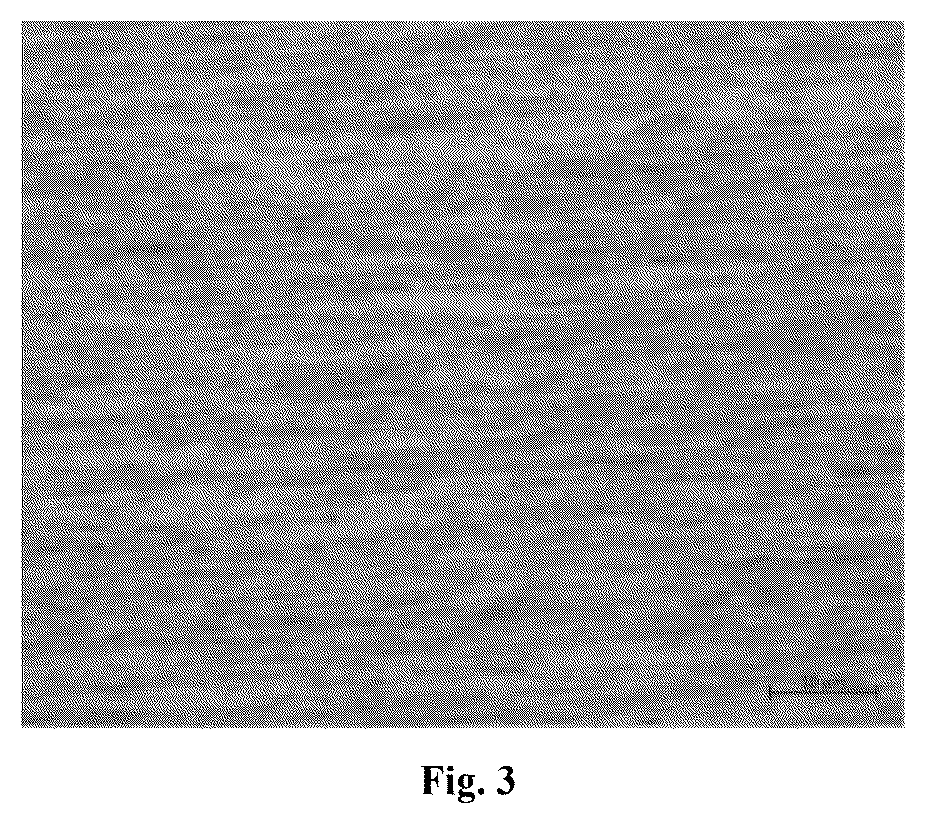 Patent US12365967 Figure 2 – Tungsten wire containing lanthanum, rhenium and yttrium and preparation method thereof