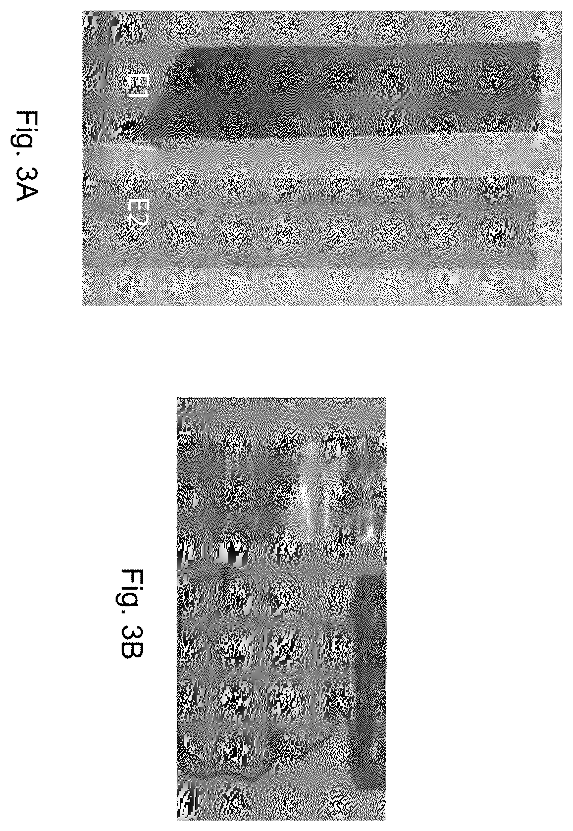 Patent US12366003 Figure 3 – Material components protection against the corrosive action cryolite melts in aluminium reduction cells