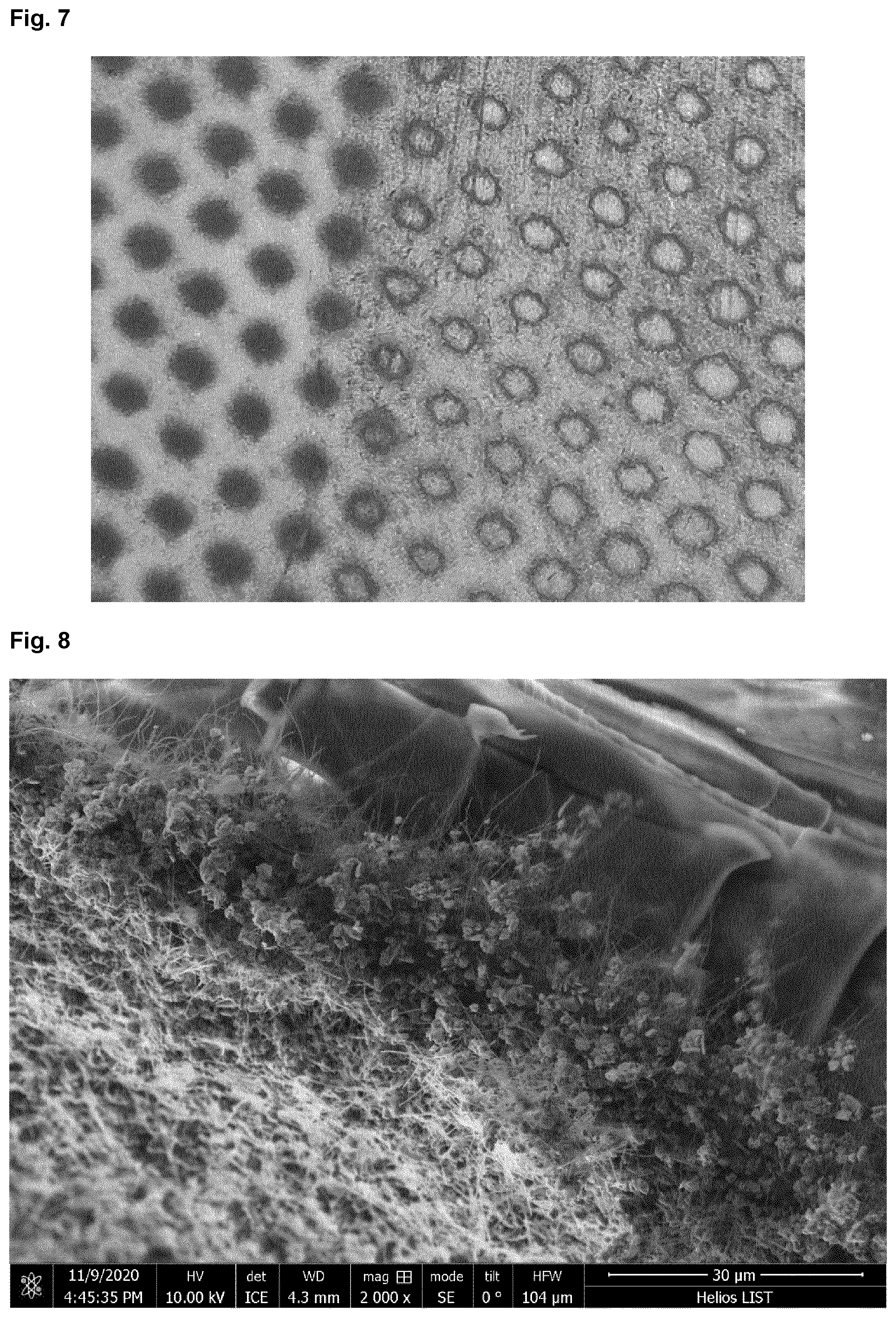 Patent US12366005 Figure 6 – Highly compact metal-CNT composites and manufacture thereof