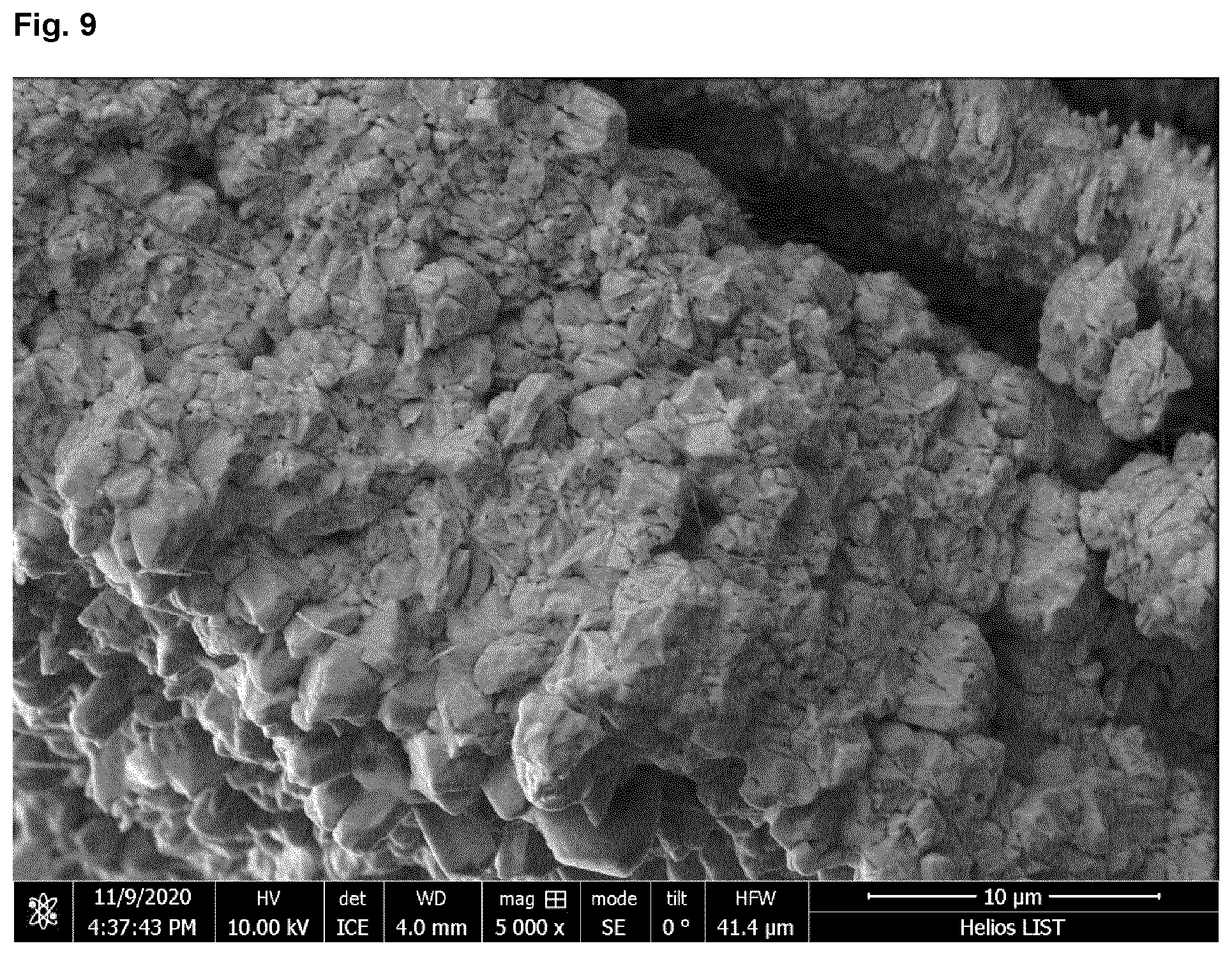 Patent US12366005 Figure 7 – Highly compact metal-CNT composites and manufacture thereof