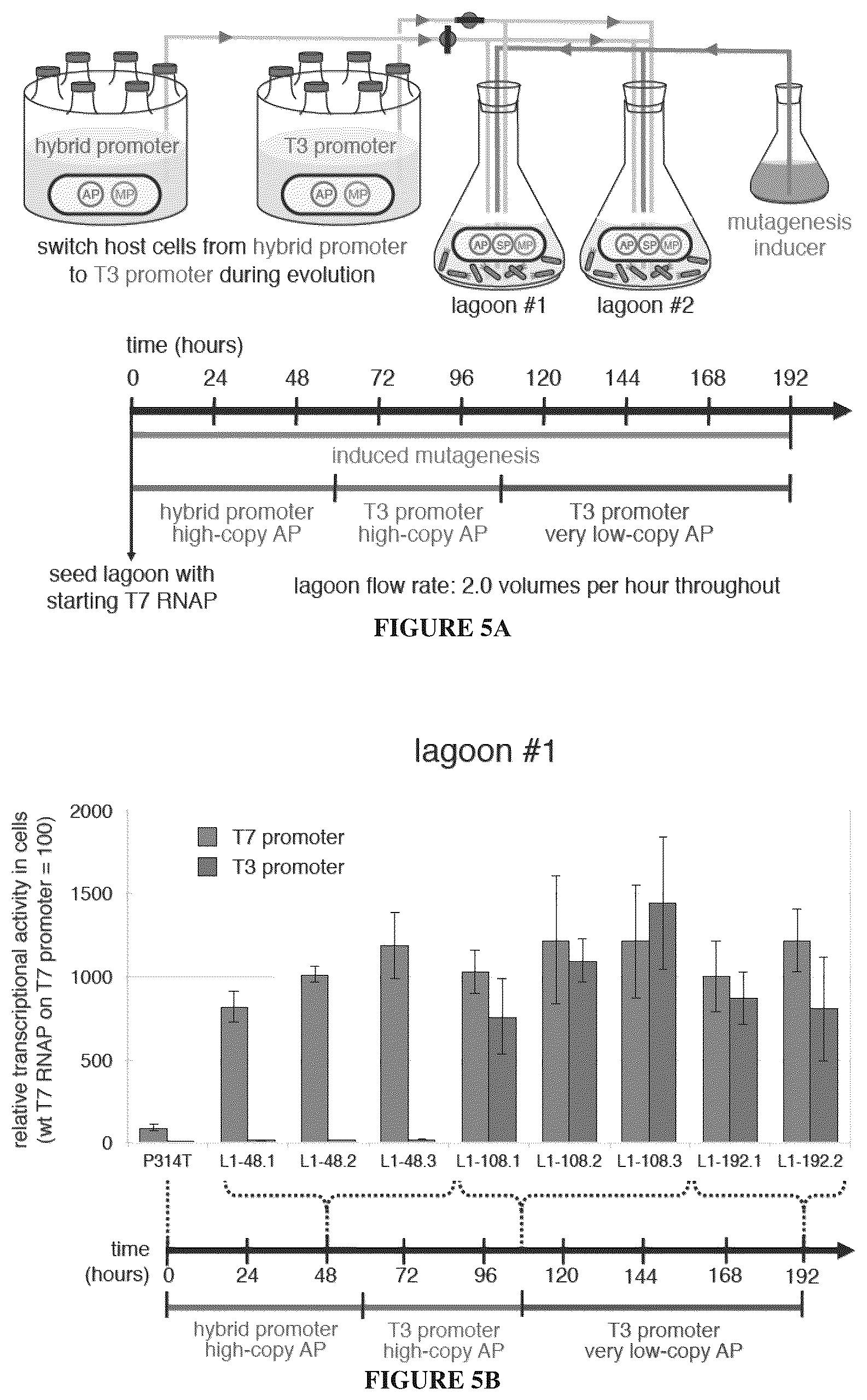 Patent US12366009 Figure 6 – Continuous directed evolution