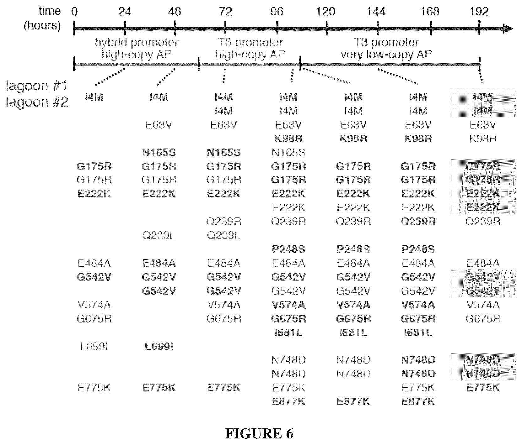 Patent US12366009 Figure 8 – Continuous directed evolution