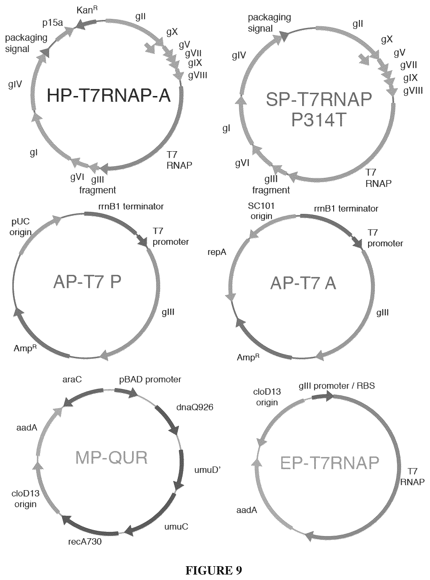 Patent US12366009 Figure 11 – Continuous directed evolution