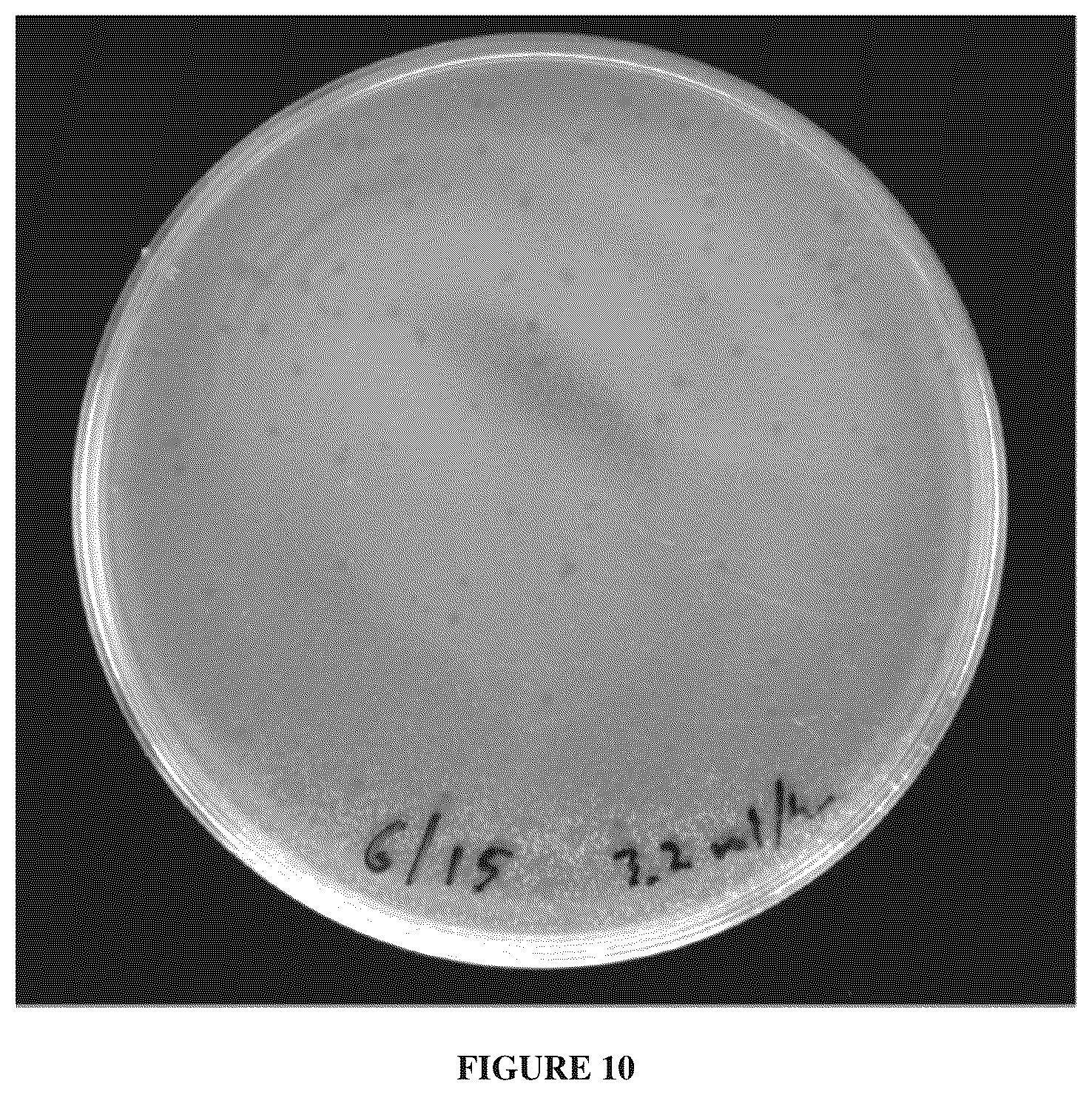 Patent US12366009 Figure 12 – Continuous directed evolution