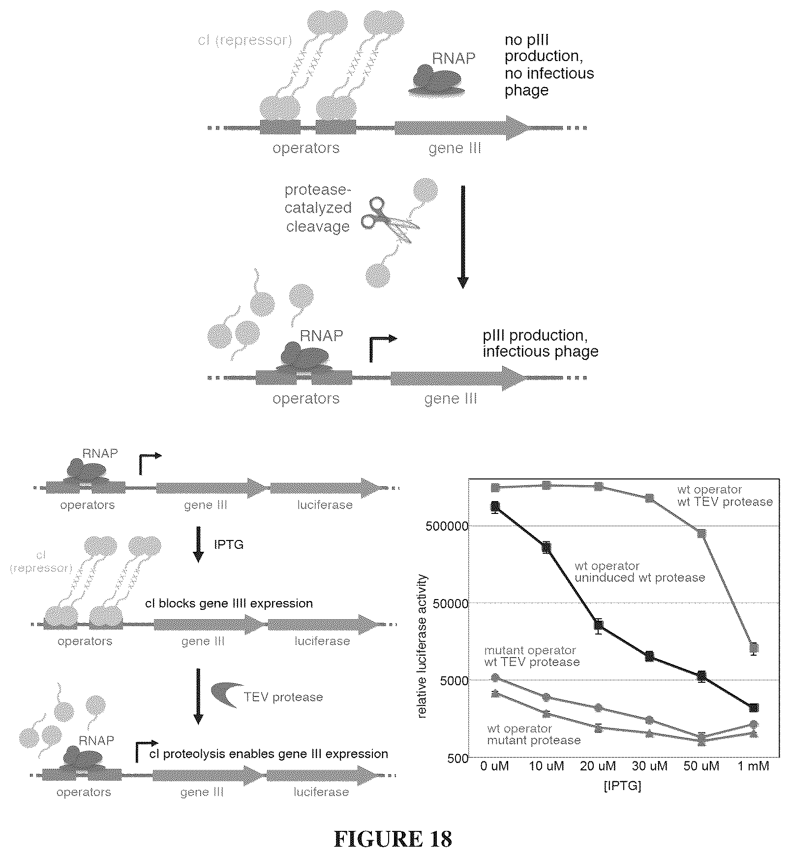 Patent US12366009 Figure 18 – Continuous directed evolution