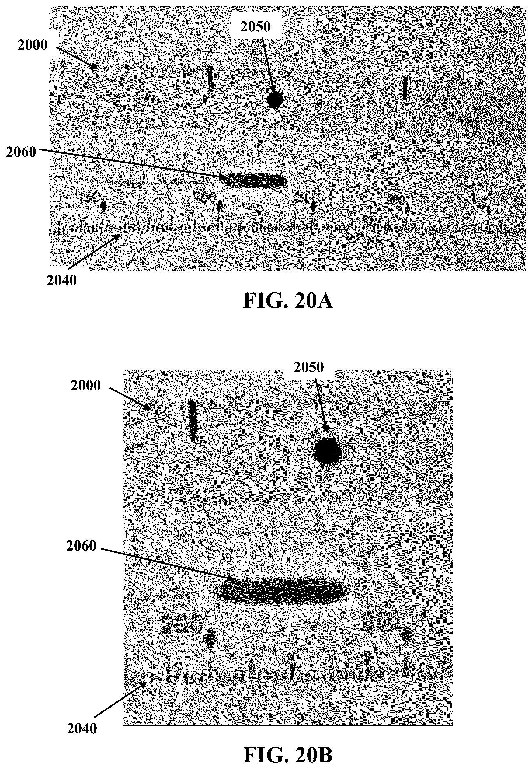 Patent US12366439 Figure 17 – Measuring device and a measurement method thereof