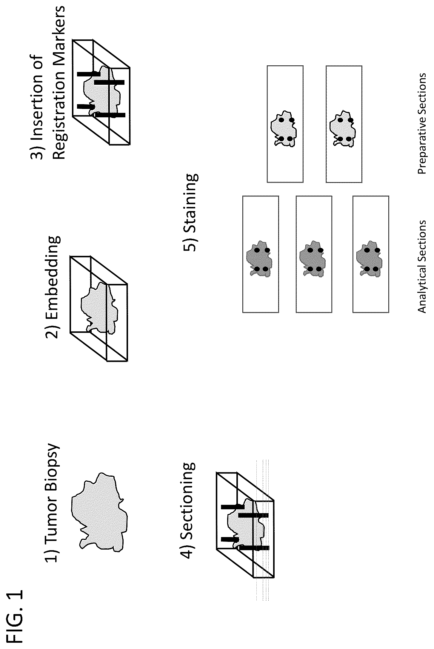 Patent US12366505 Figure 1 – Enrichment of surgical specimens for tumor tissue