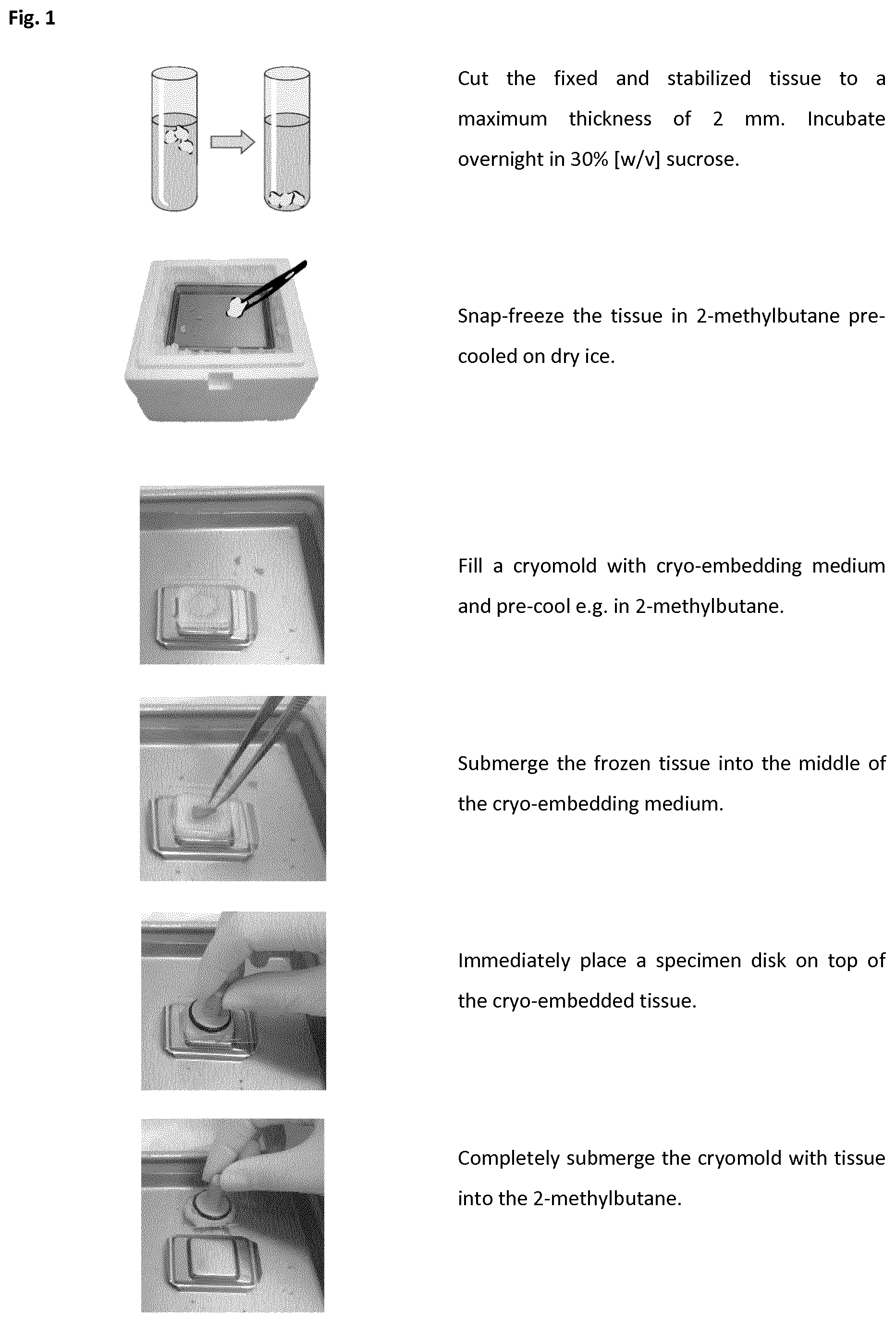 Patent US12366508 Figure 1 – Method of preparing a frozen biological sample