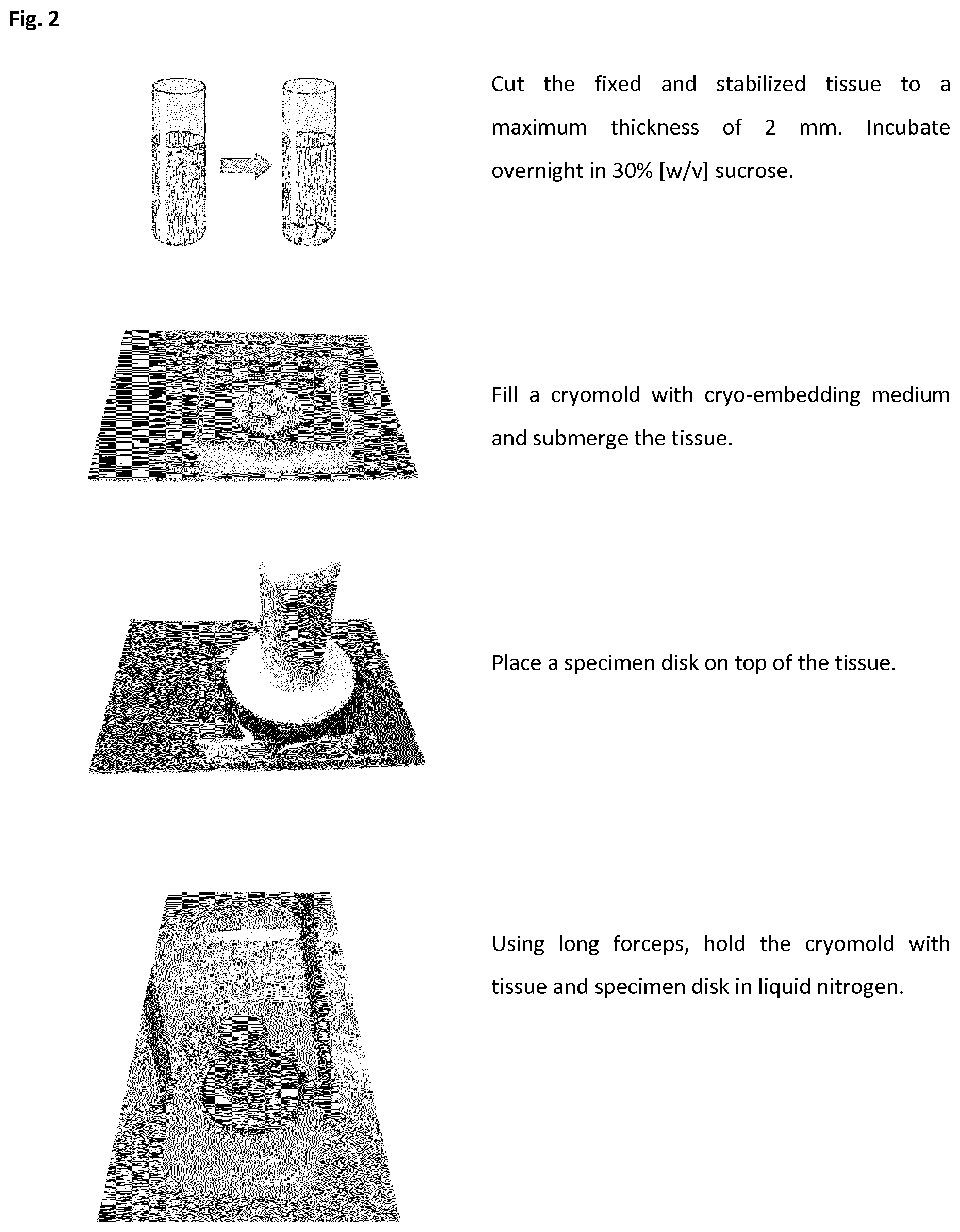 Patent US12366508 Figure 2 – Method of preparing a frozen biological sample