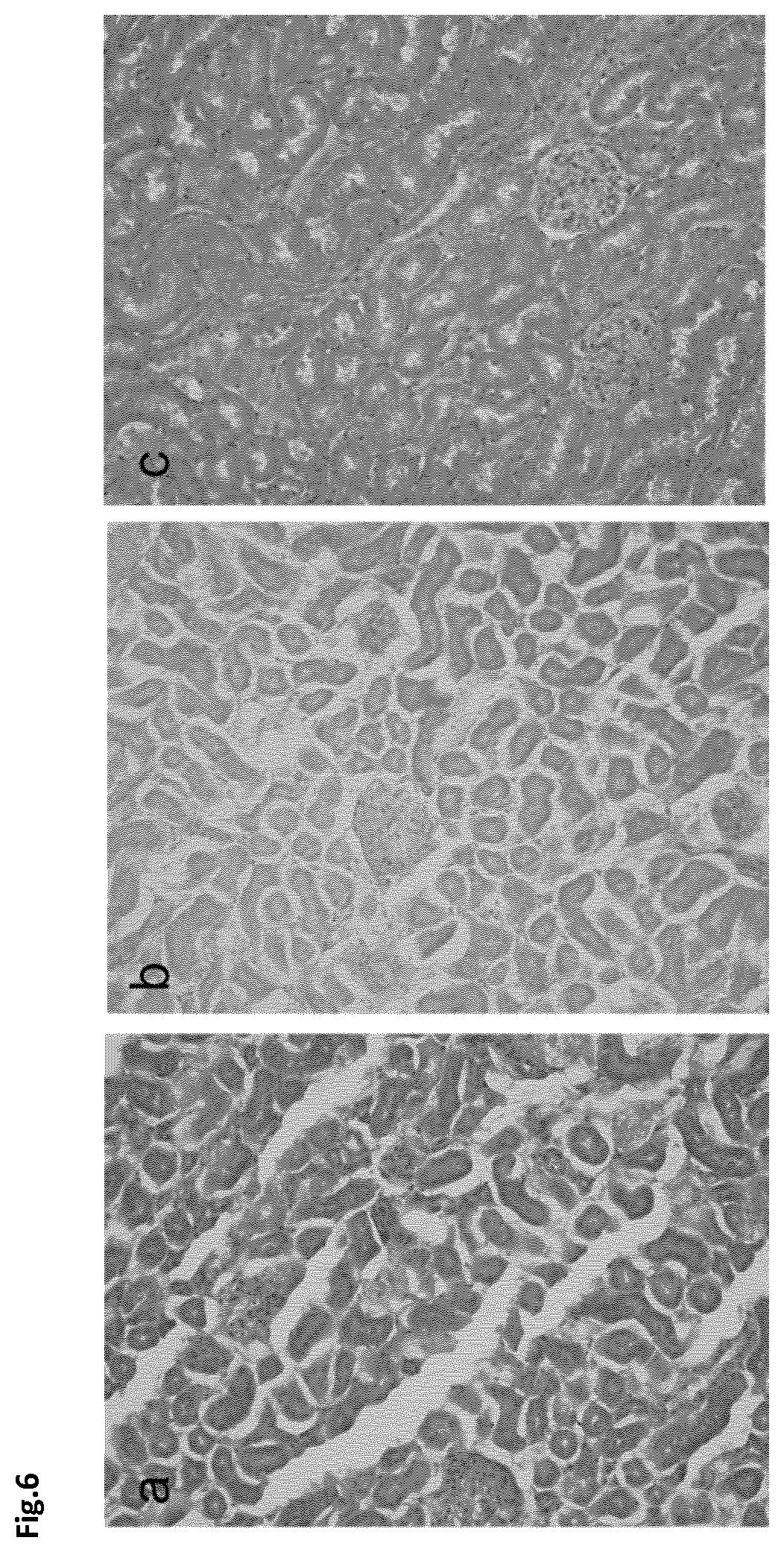 Patent US12366508 Figure 5 – Method of preparing a frozen biological sample