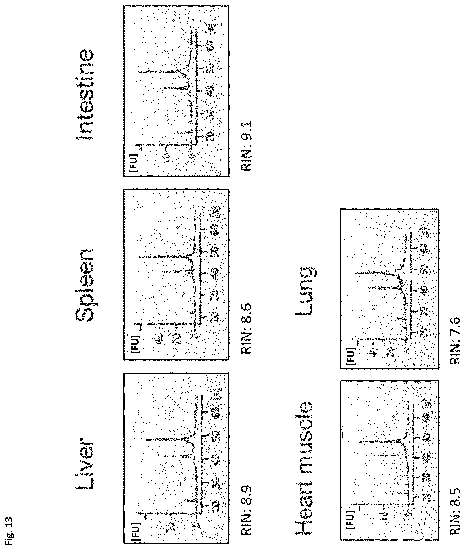 Patent US12366508 Figure 13 – Method of preparing a frozen biological sample