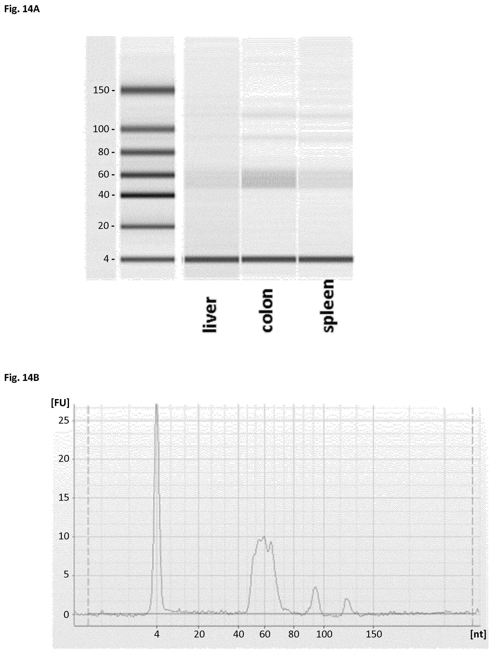 Patent US12366508 Figure 14 – Method of preparing a frozen biological sample