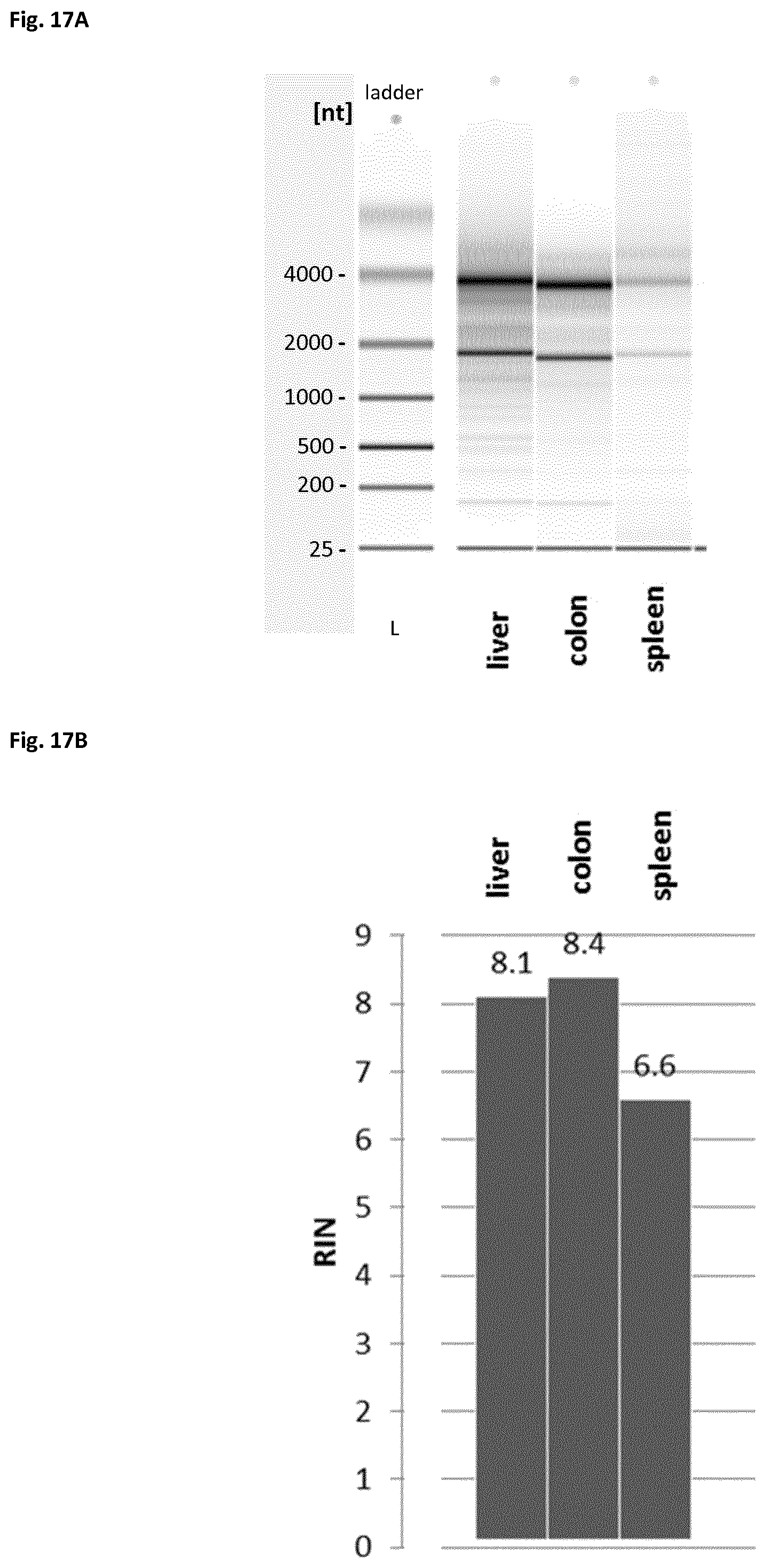 Patent US12366508 Figure 19 – Method of preparing a frozen biological sample
