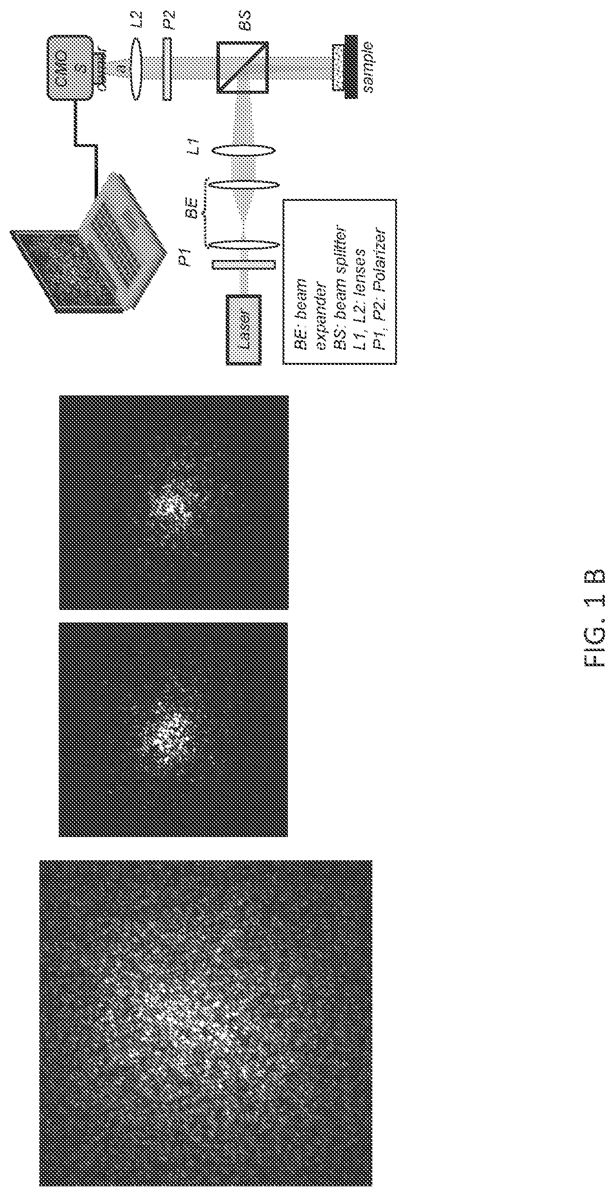 Patent US12366512 Figure 2 – Methods and systems for non-destructive estimation of scattering particle size
