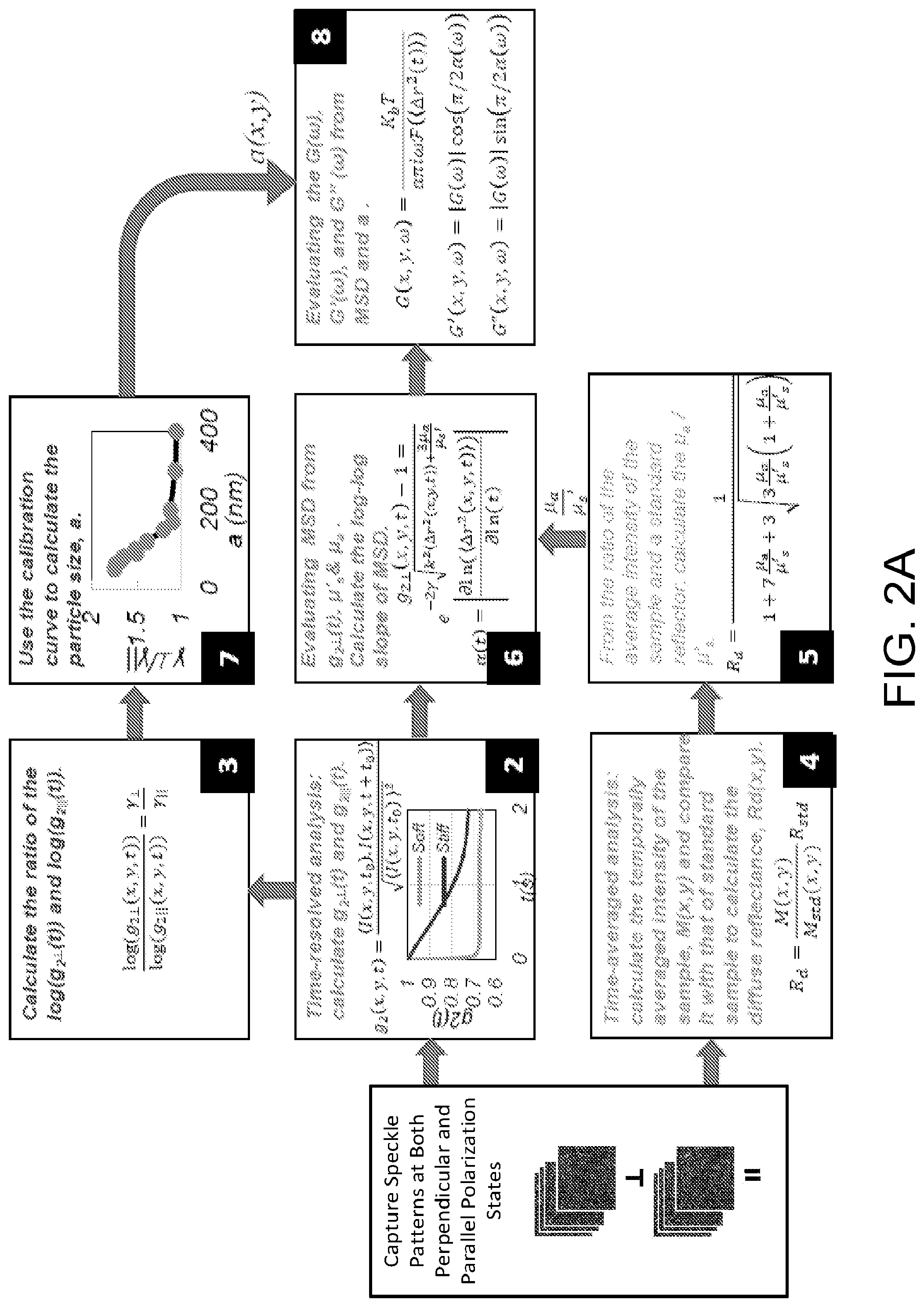 Patent US12366512 Figure 3 – Methods and systems for non-destructive estimation of scattering particle size