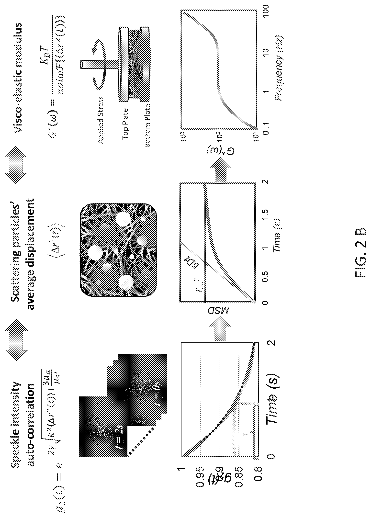 Patent US12366512 Figure 4 – Methods and systems for non-destructive estimation of scattering particle size