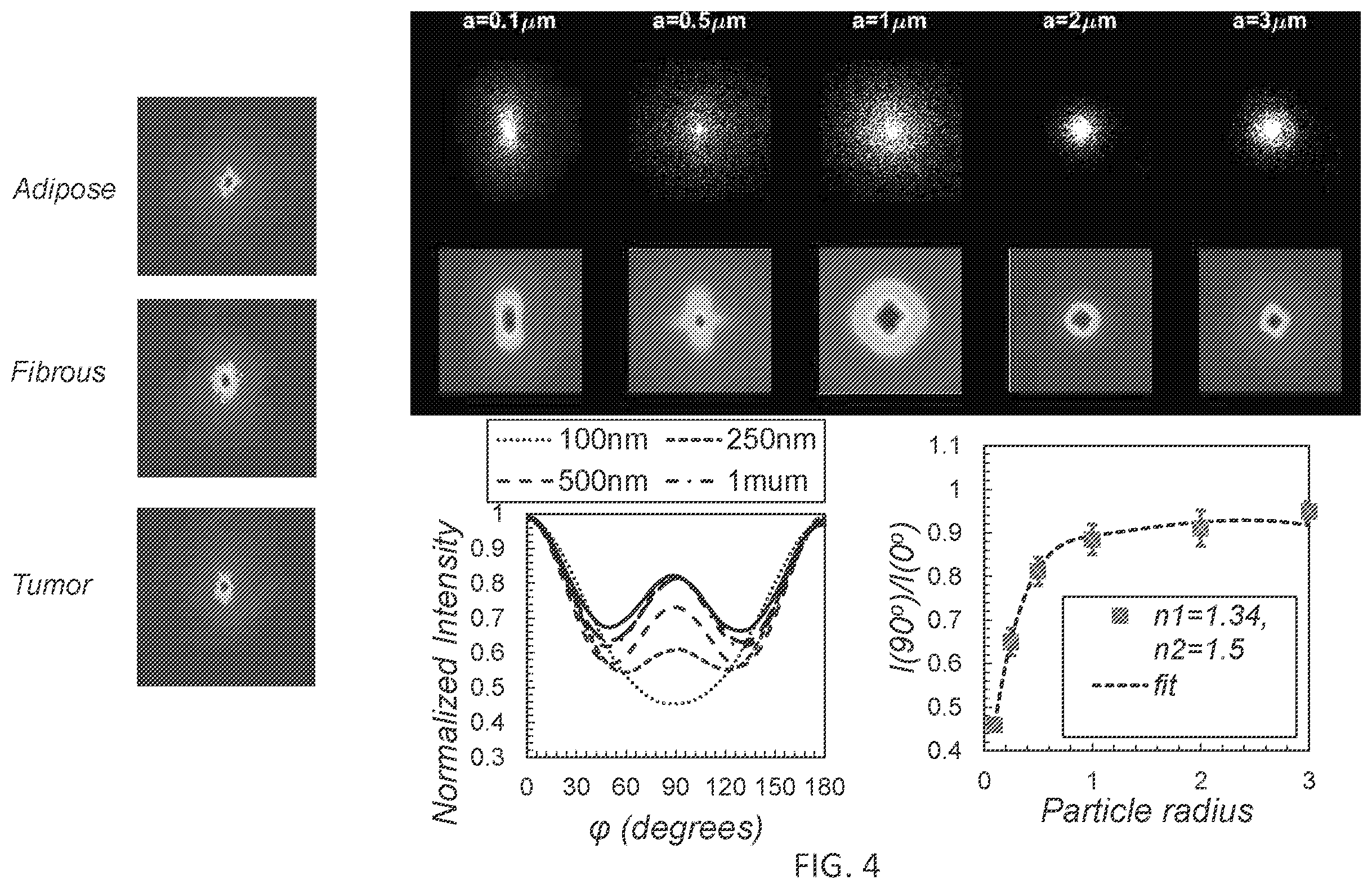 Patent US12366512 Figure 6 – Methods and systems for non-destructive estimation of scattering particle size