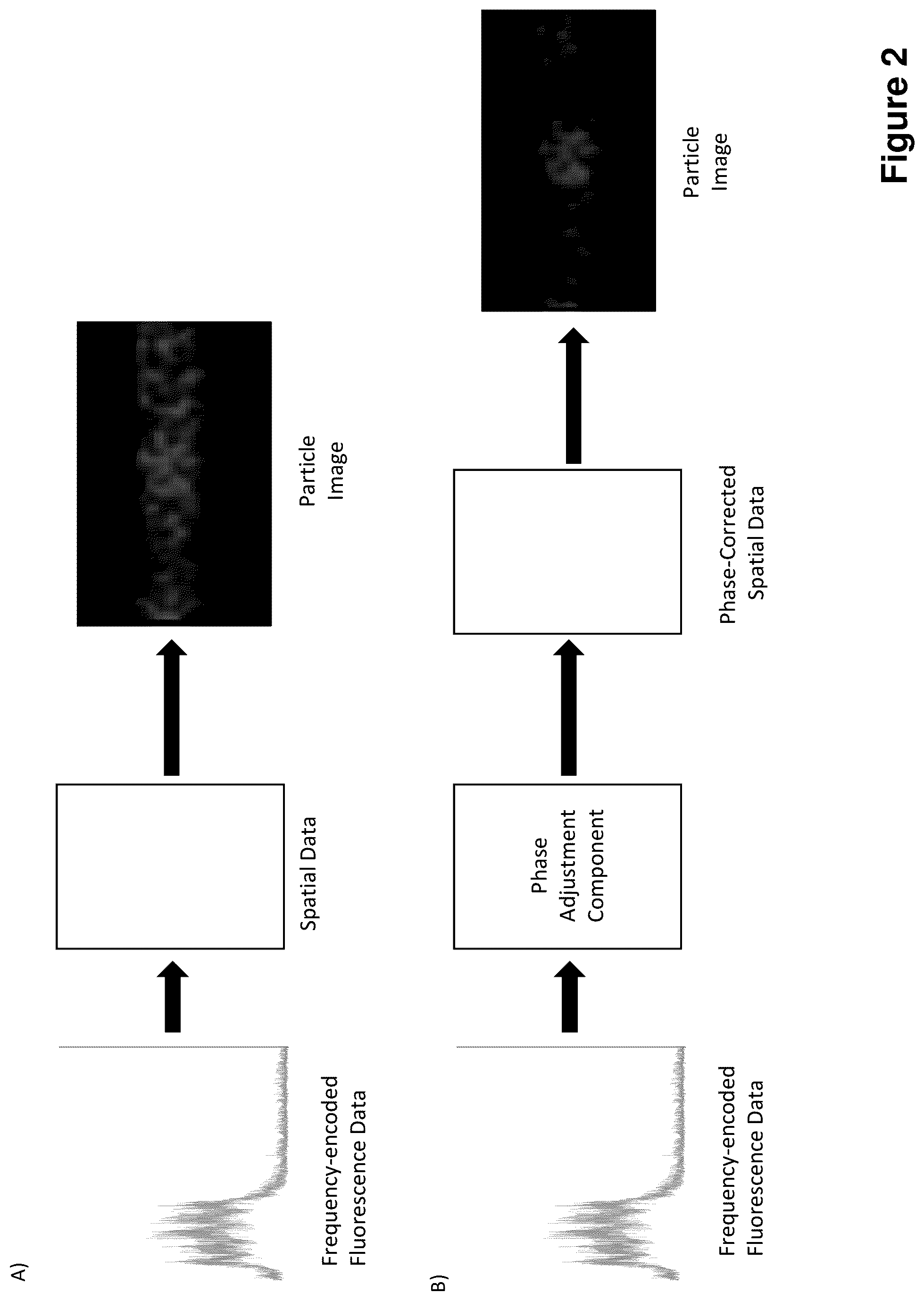 Patent US12366519 Figure 2 – Phase-correction of radiofrequency-multiplexed signals