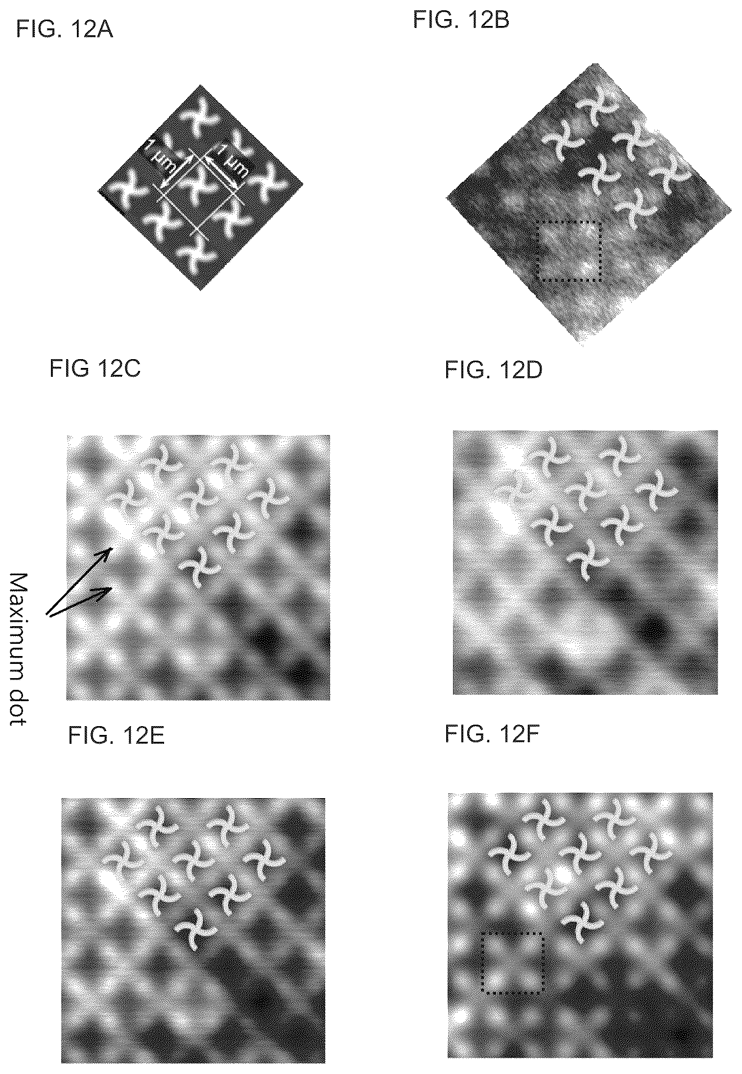 Patent US12366521 Figure 10 – Circularly polarized light illuminator, analysis device, and microscope