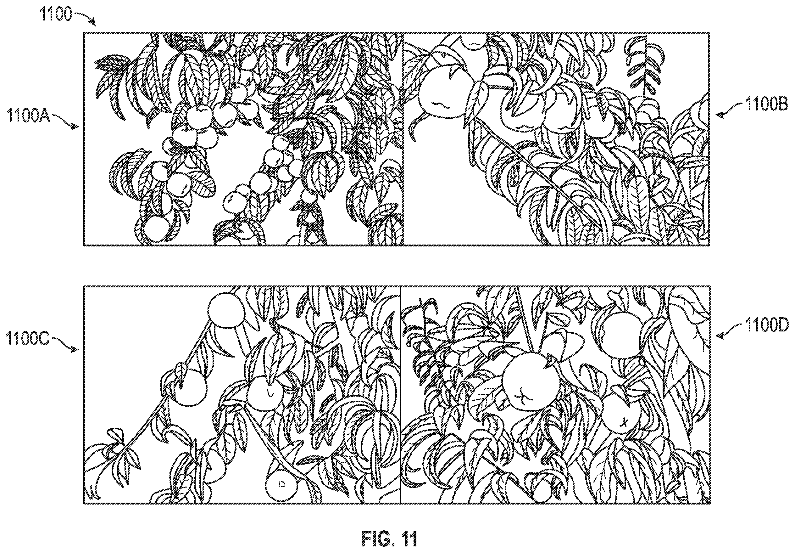 Patent US12366524 Figure 9 – Fruit maturity and quality scanning