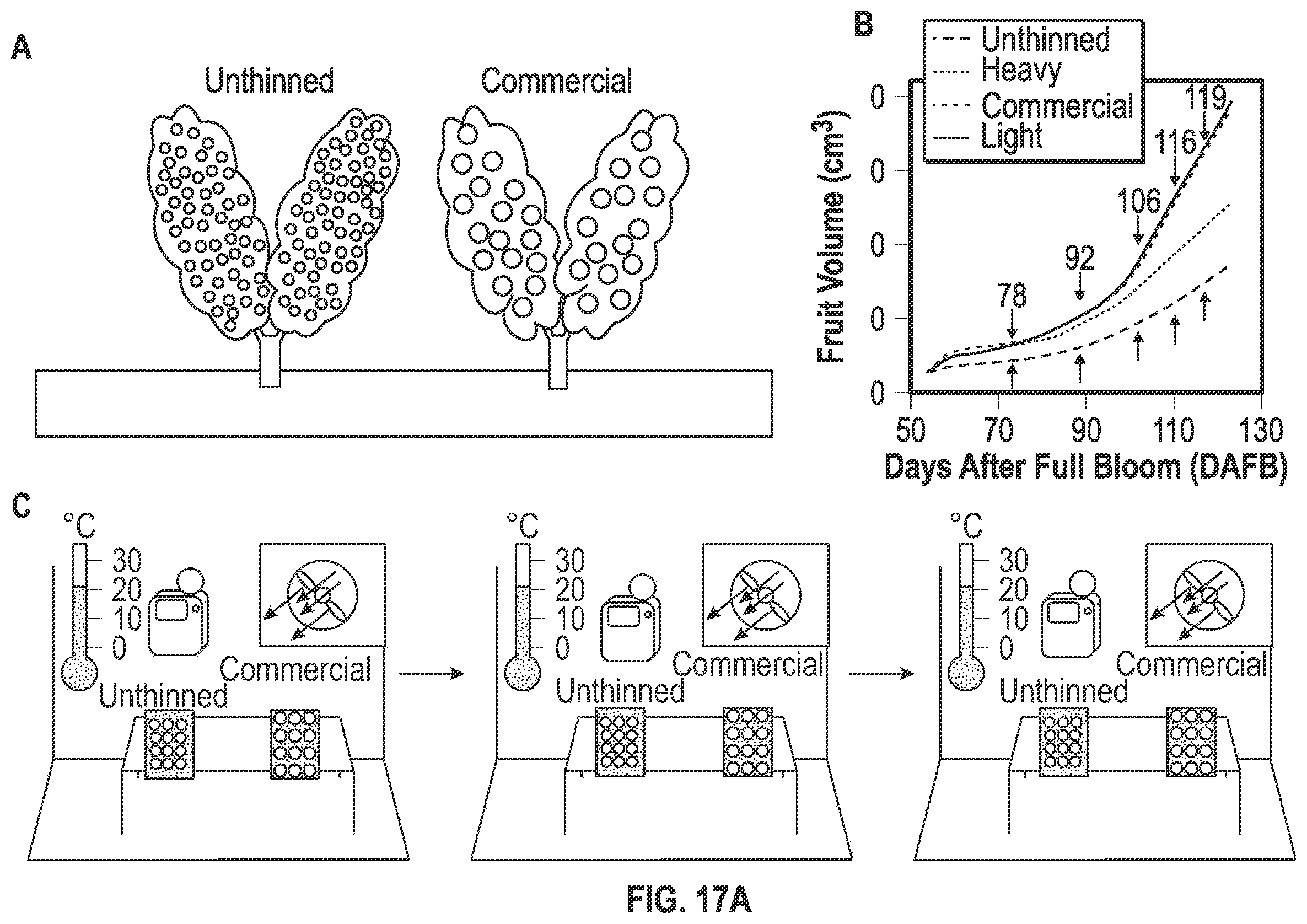 Patent US12366524 Figure 15 – Fruit maturity and quality scanning
