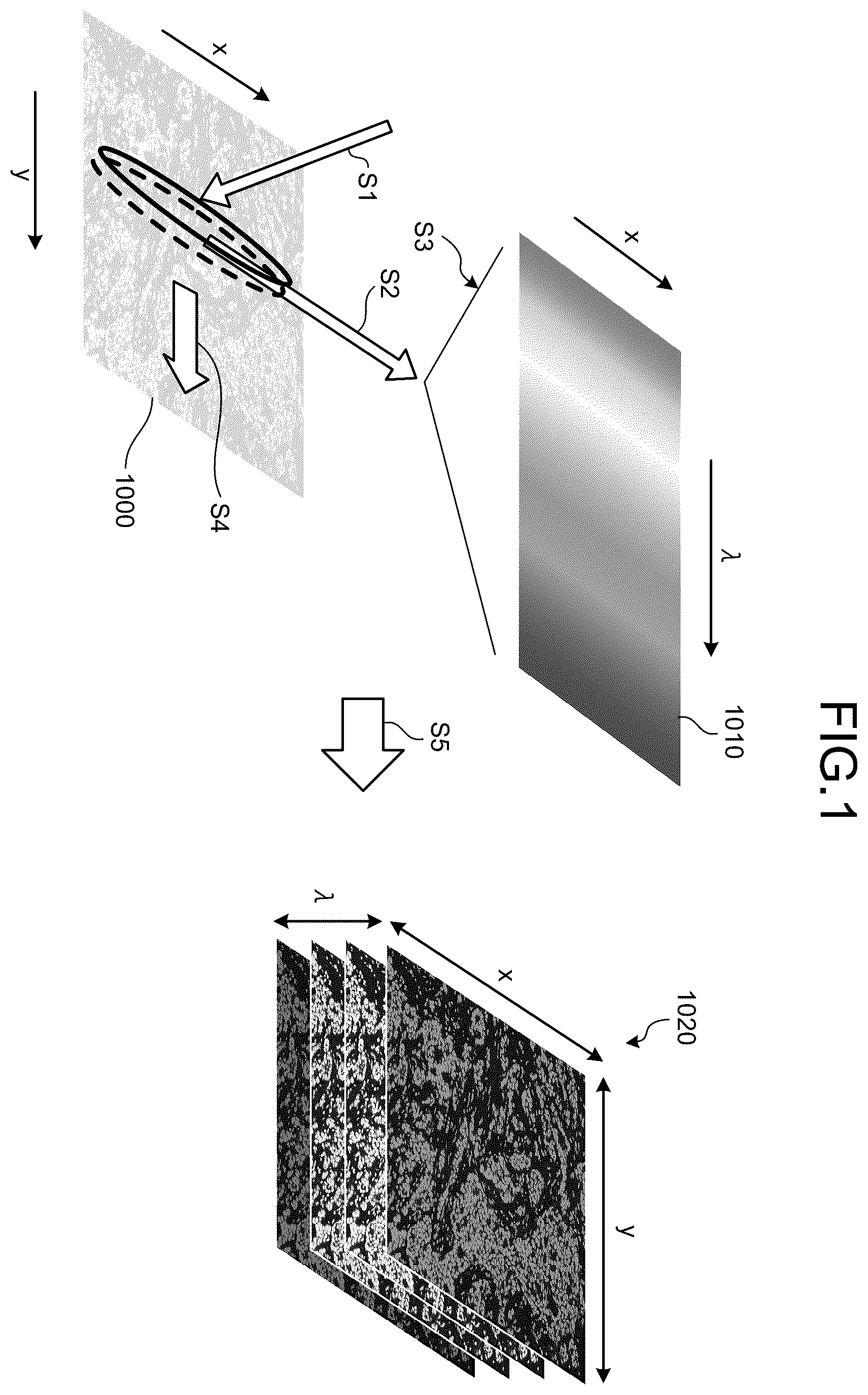 Patent US12366531 Figure 1 – Data generation method, fluorescence observation system, and information processing apparatus