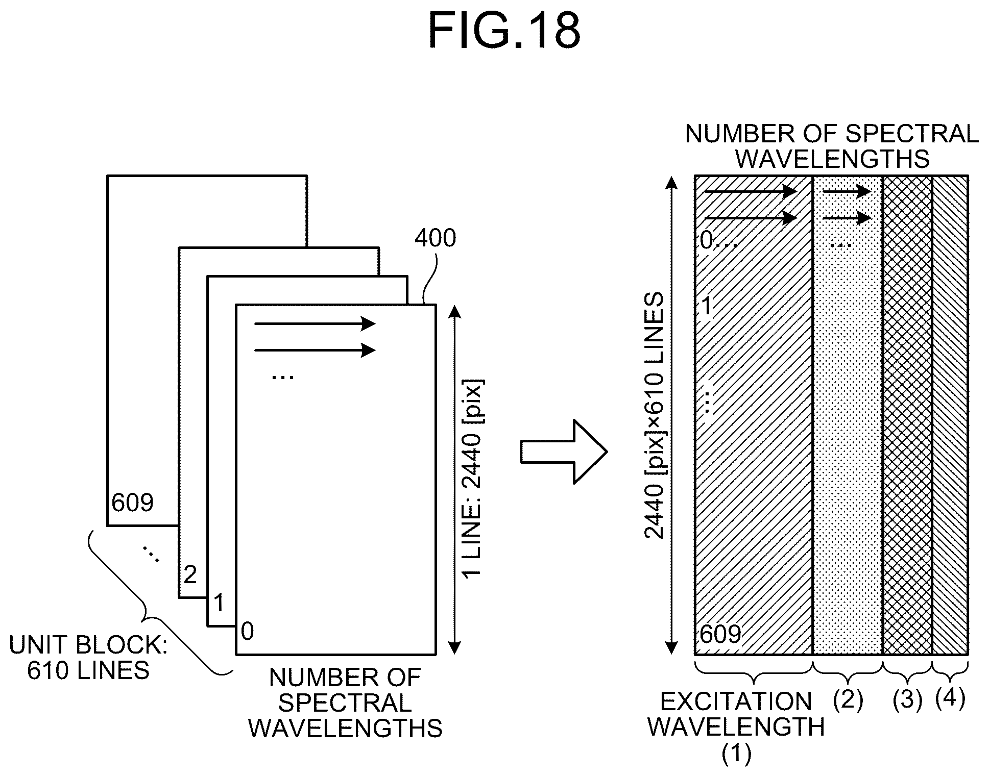 Patent US12366531 Figure 13 – Data generation method, fluorescence observation system, and information processing apparatus