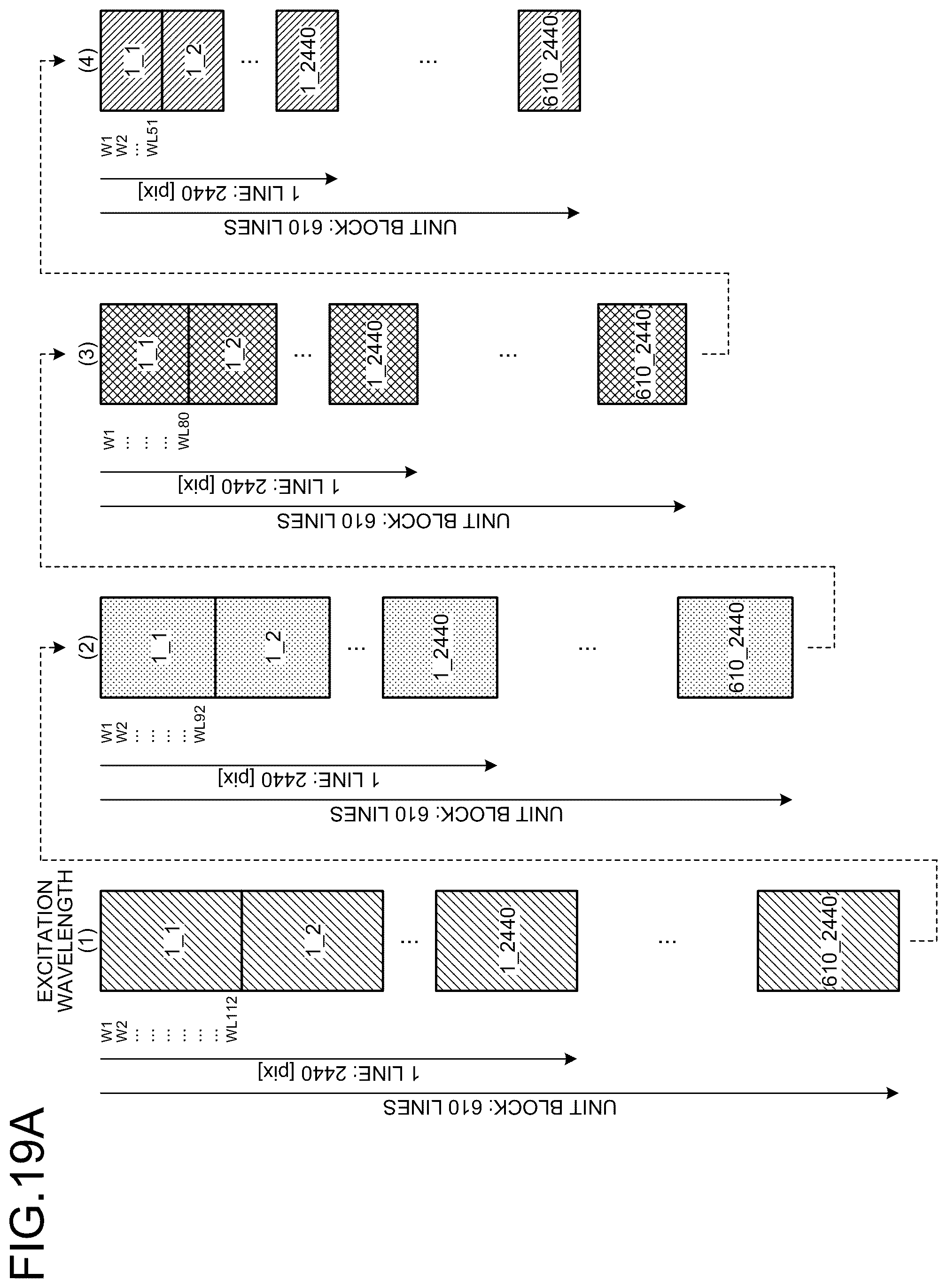 Patent US12366531 Figure 14 – Data generation method, fluorescence observation system, and information processing apparatus