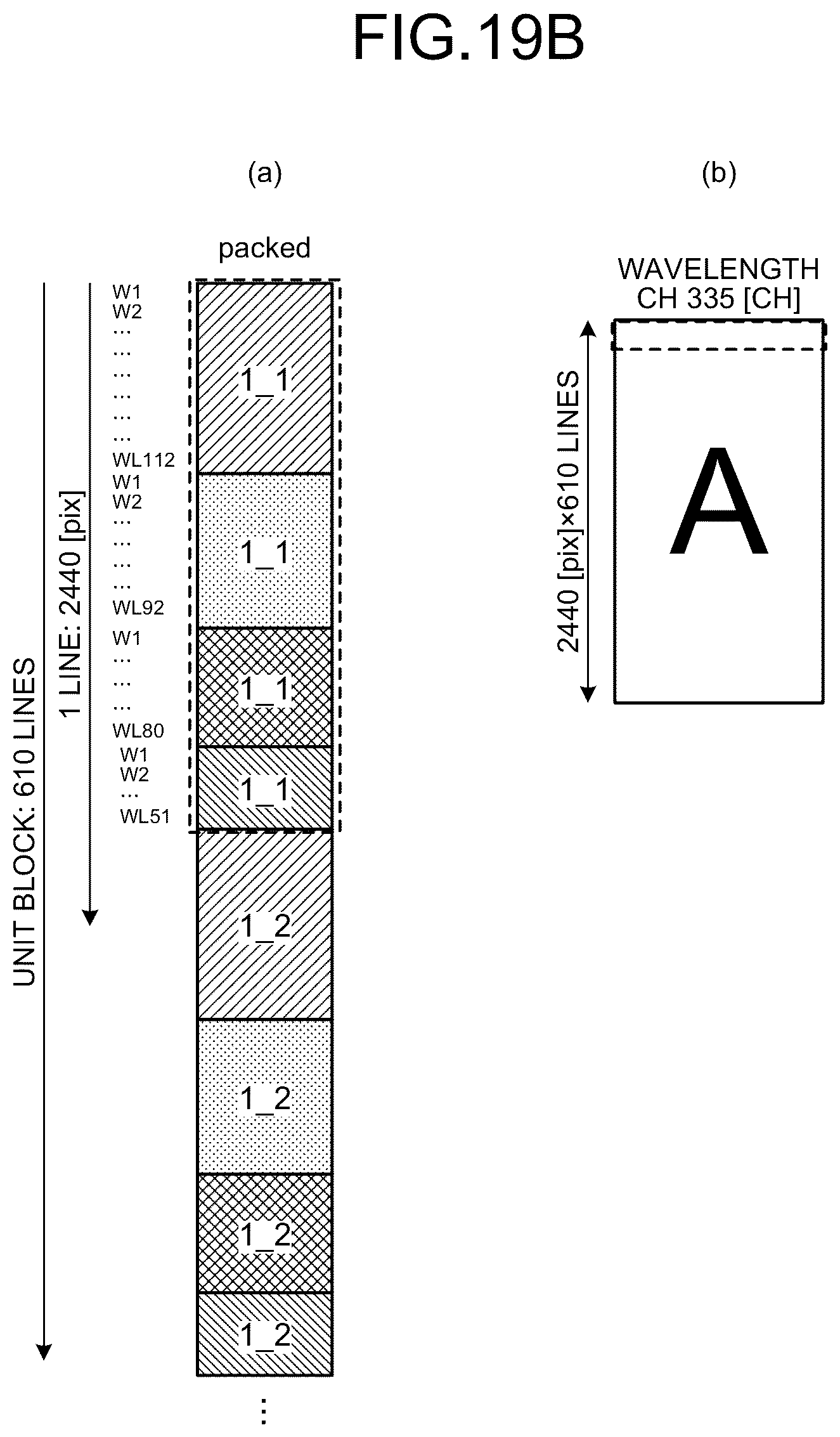 Patent US12366531 Figure 15 – Data generation method, fluorescence observation system, and information processing apparatus