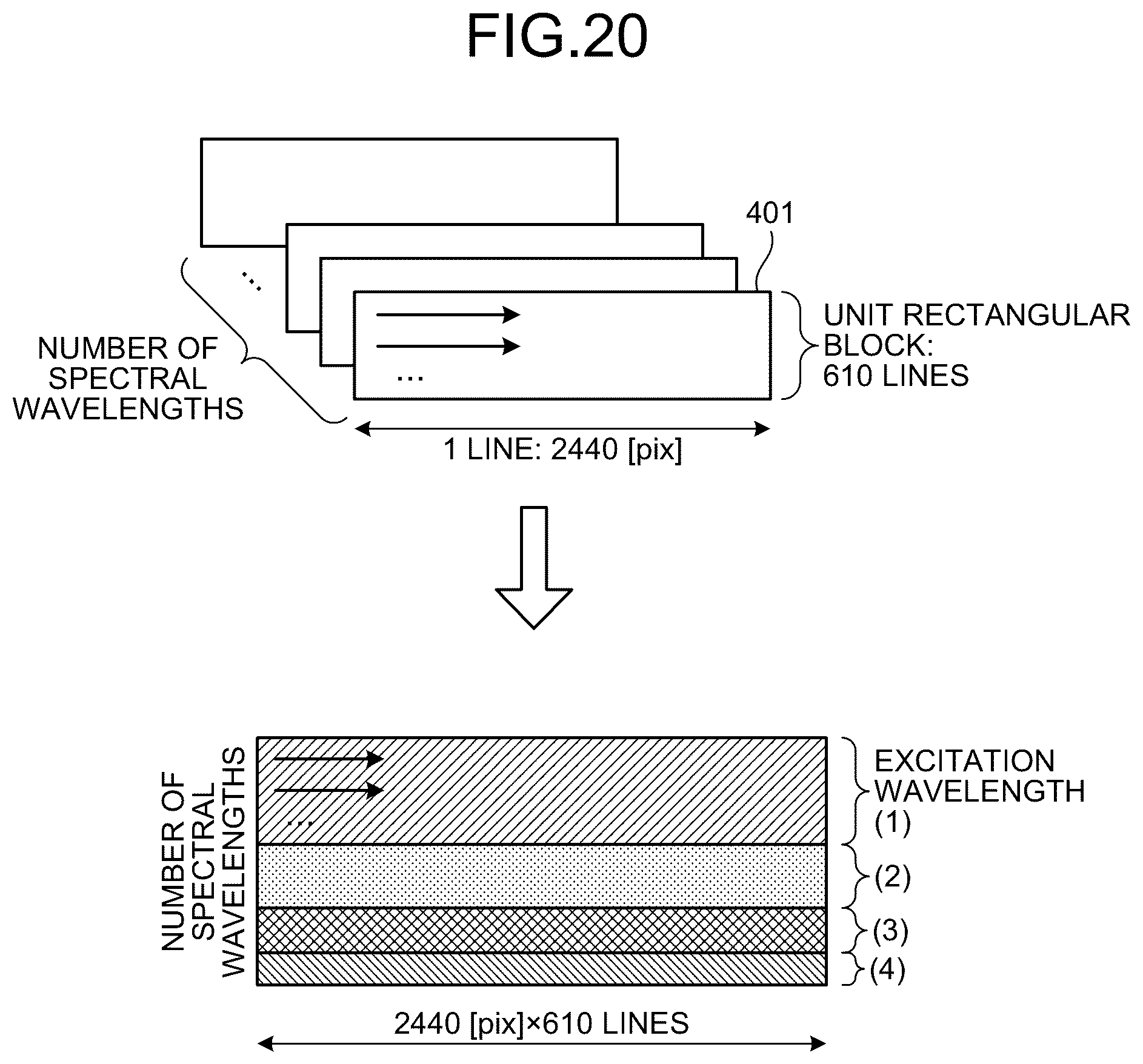 Patent US12366531 Figure 16 – Data generation method, fluorescence observation system, and information processing apparatus