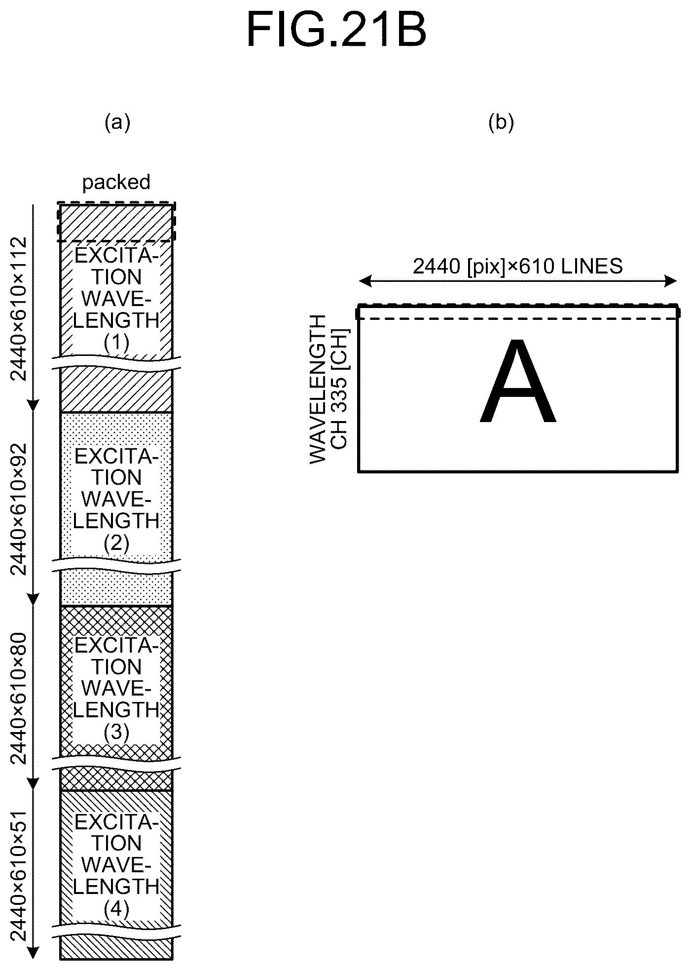 Patent US12366531 Figure 18 – Data generation method, fluorescence observation system, and information processing apparatus