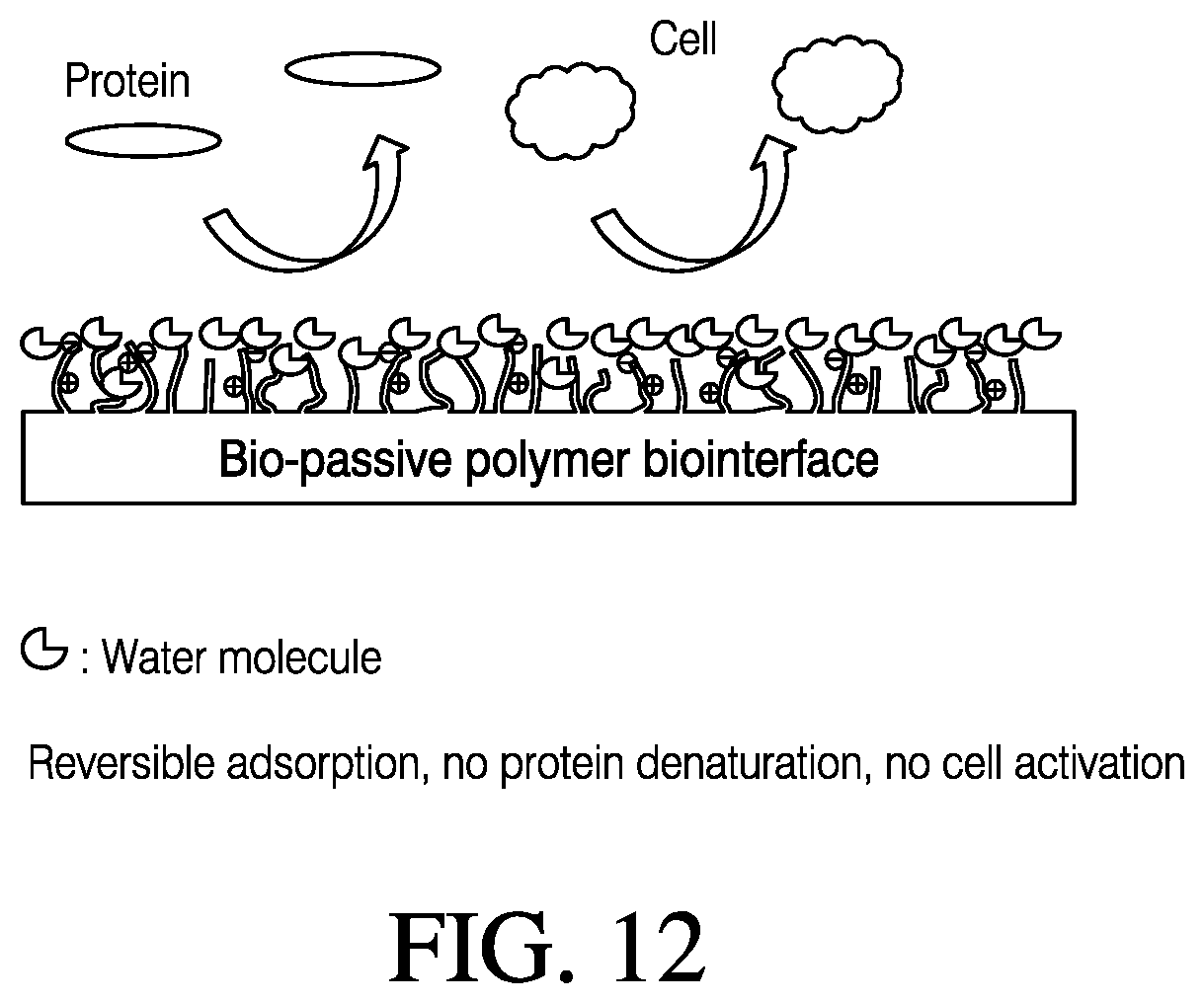 Patent US12366548 Figure 17 – Analyte sensor