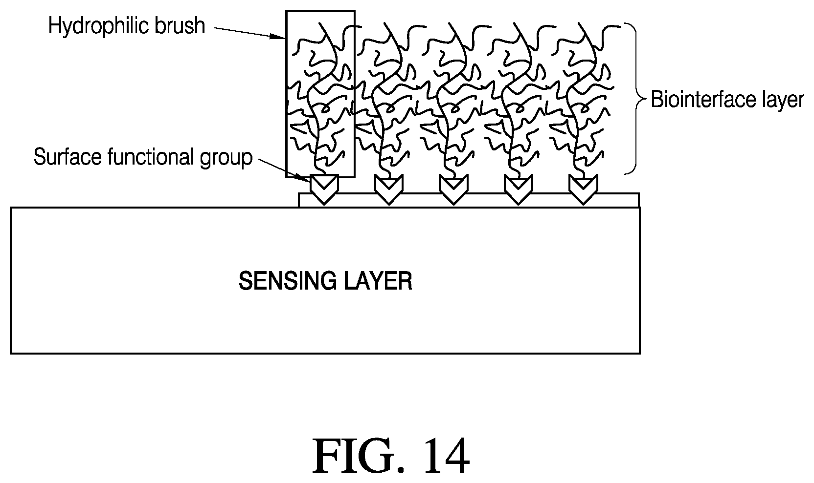 Patent US12366548 Figure 19 – Analyte sensor